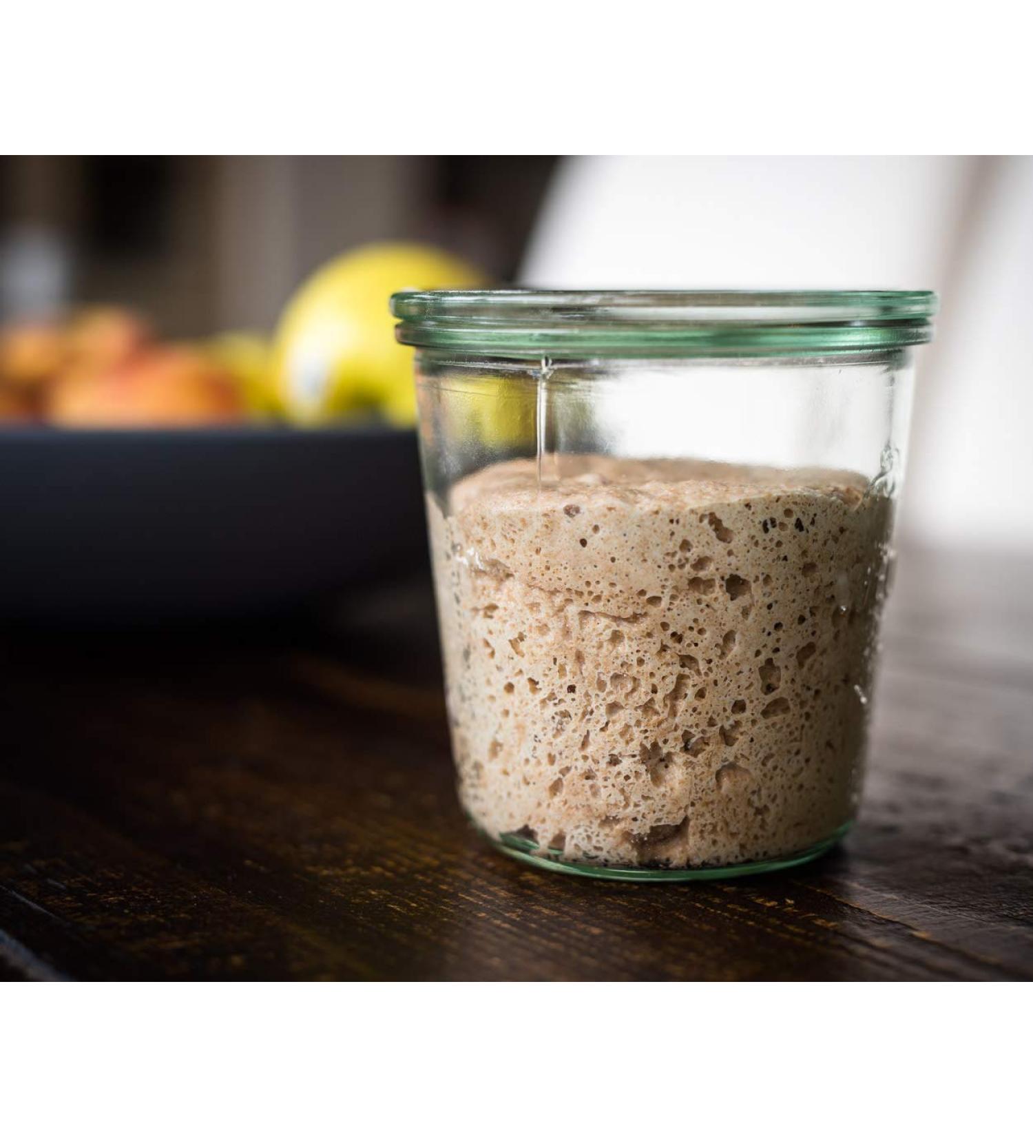  Kombuchaorganic Certified Organic Live 46 Year Old San Francisco Sourdough Starter UKAS Lab Tested with Printed Instructions from Kombuchaorganic - Buy Online on GoSupps.com