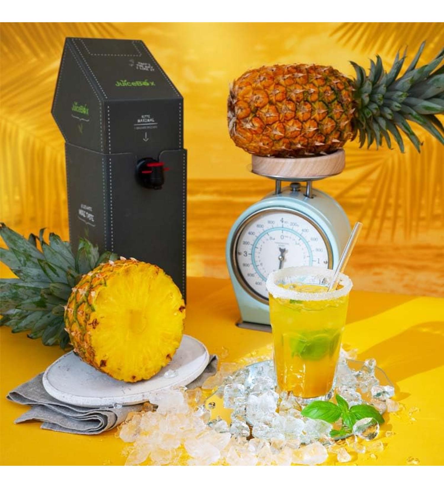 JuiceBox Syrup Light - 2 liters makes 52 liters of ready-to-drink beverage Sustainable Vegan Delicious & hardly any calories (Pineapple Dream)