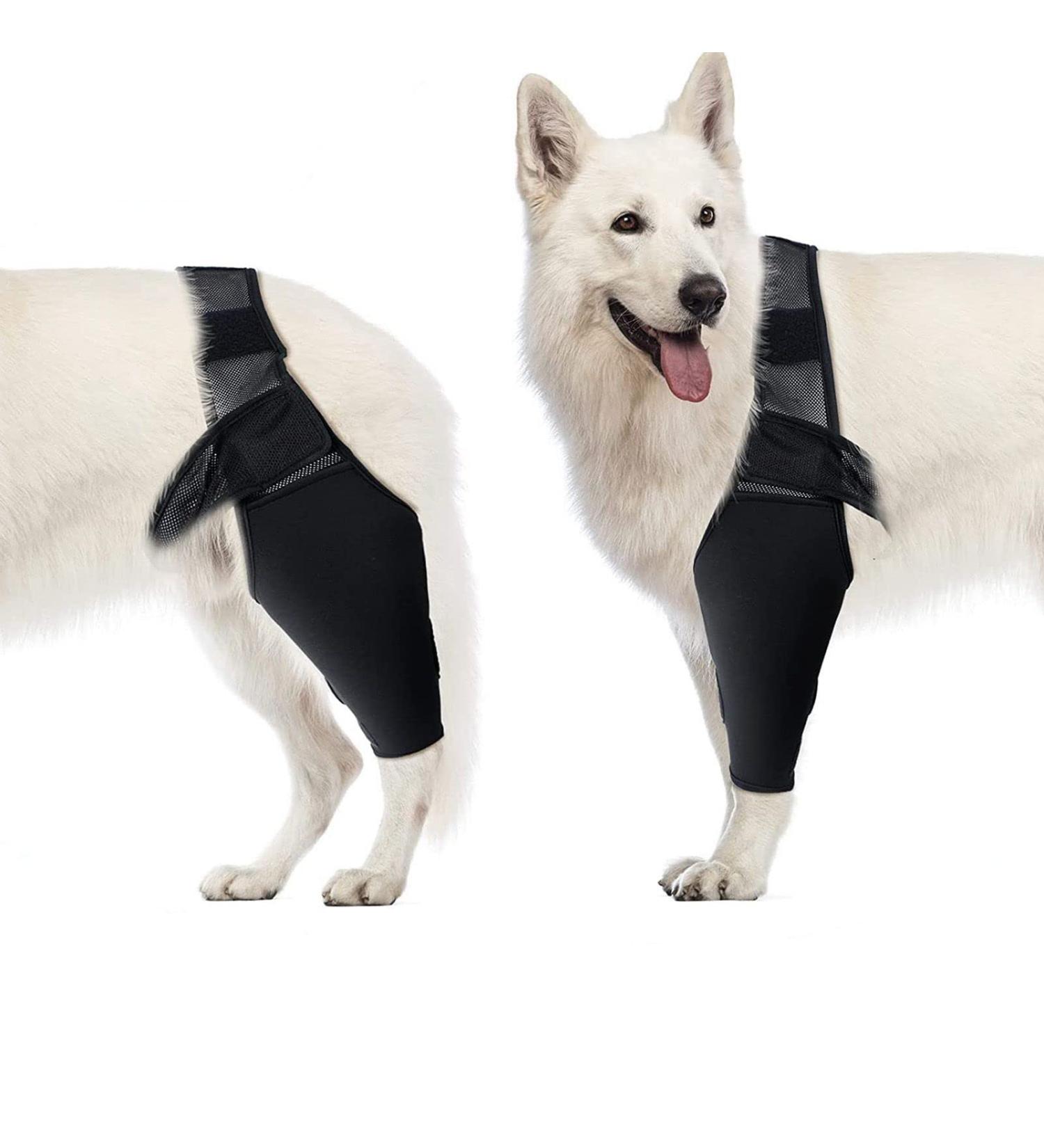 Dog Elbow Brace Dog Compression Knee Brace Elbow and Shoulder Support Dysplasia Arthritis Elbow Calluses Pressure Sores Shoulder Dislocation(XL) - Buy Online on GoSupps.com