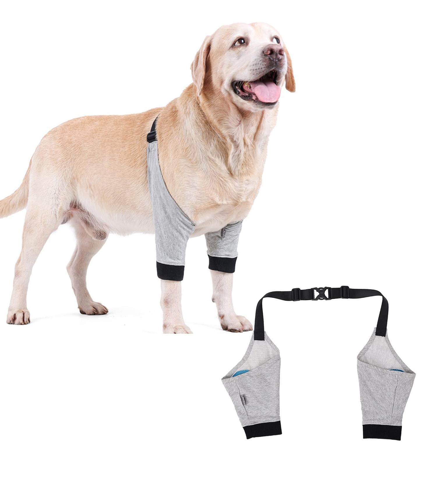 Dog Leg Brace Elbow Brace Protector Pads for Small Dogs and Cats Support Elbow Hygroma Shoulder Dysplasia Osteoarthritis and Shoulder Dislocation(L) Large - Buy Online on GoSupps.com