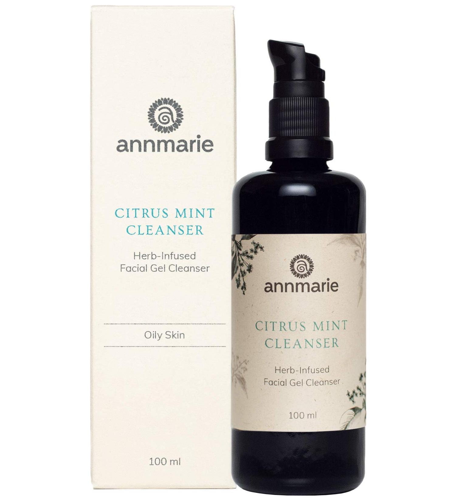 Annmarie Citrus Mint Cleanser (100ml) 3.4 Fl Oz (Pack of 1)