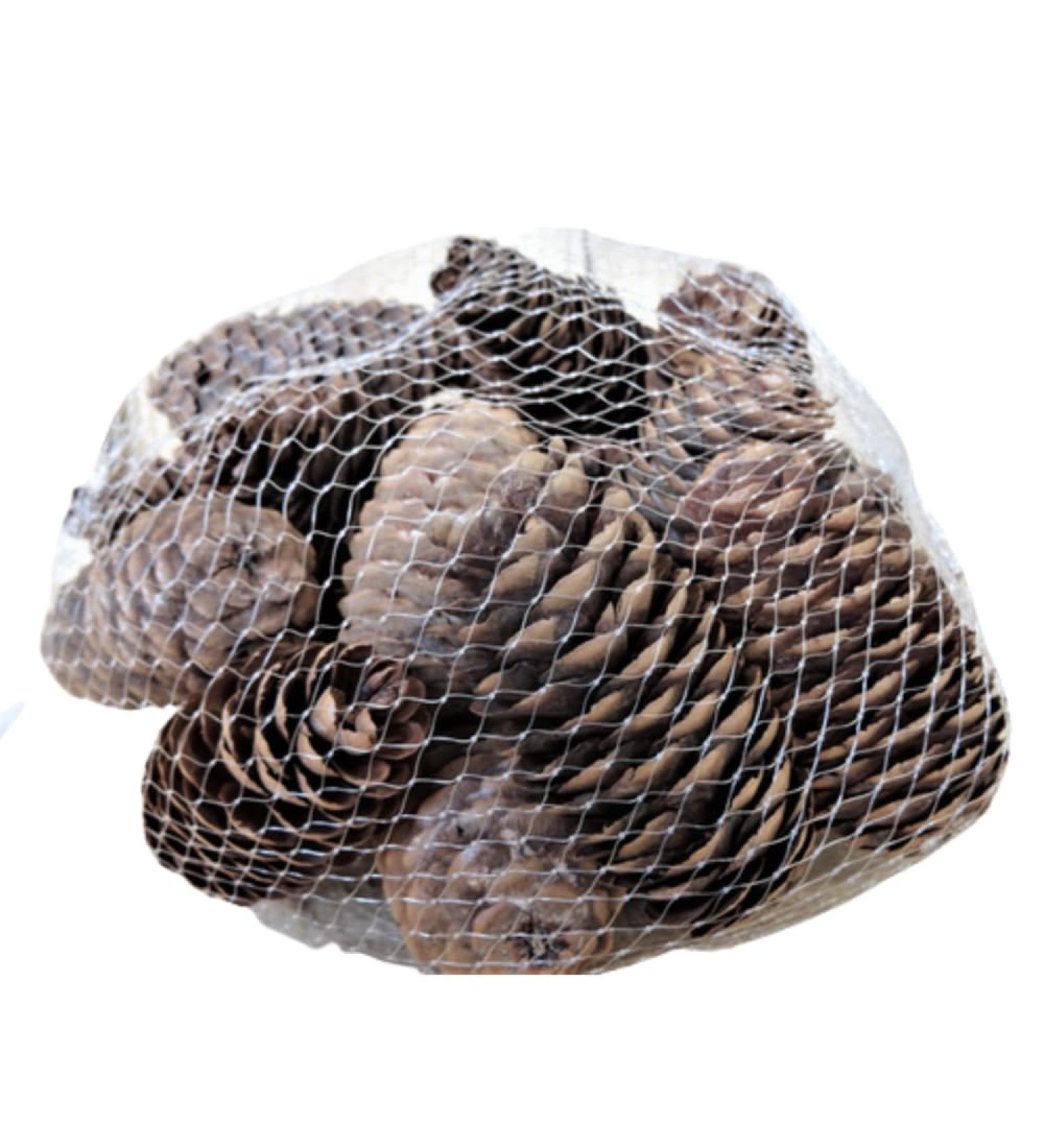  CHEMIN DE CAMPAGNE Bag of Elongated Pine Cones Brown 240g - Buy Online on GoSupps.com