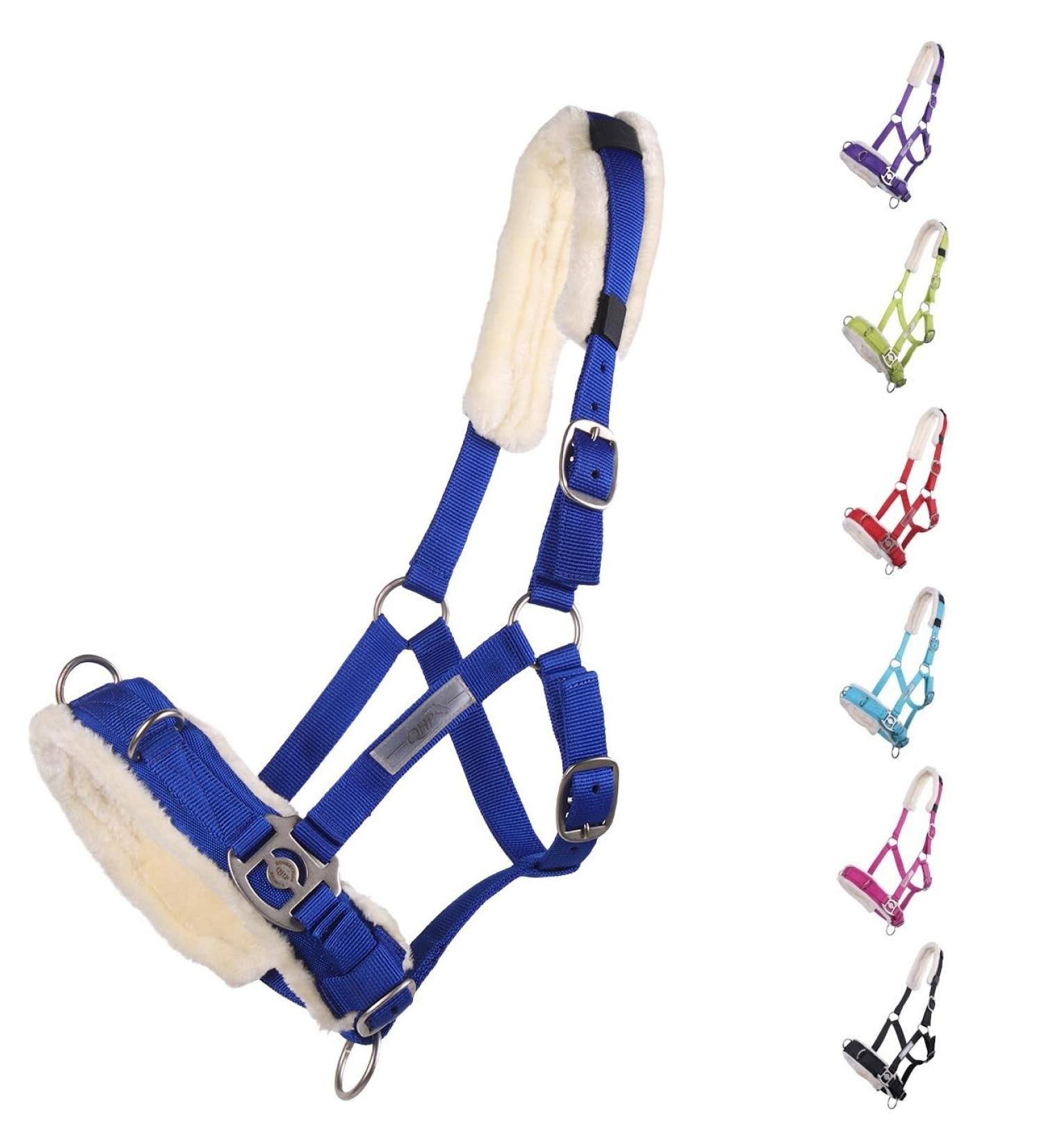 NETPROSHOP Cavesson Lunging Aid for Groundwork - Shetland Pony to Cob - Full Size in Cobalt Blue - Buy Online on GoSupps.com