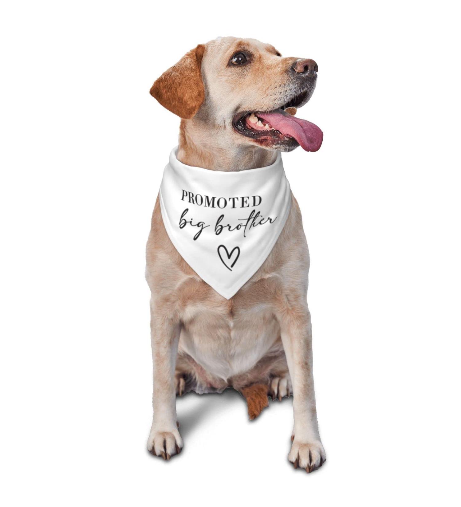 Vercosee Big Brother Dog Bandana - Gender Reveal Photo Props for Dog Lover (White) - Buy Online on GoSupps.com