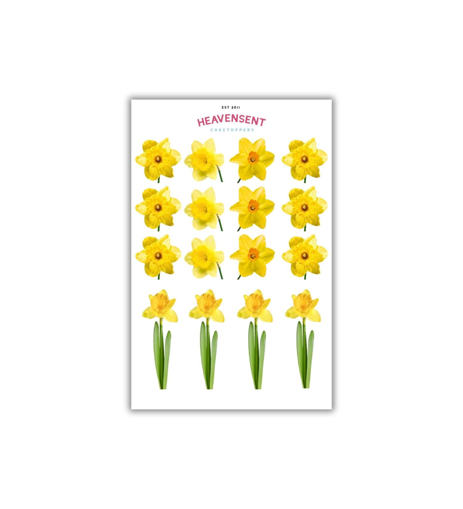 Cake Topper Edible 32 Daffodils Yellow Flowers Pre-cut Premium Thick Sweet Wafer Card Standing Cupcake Toppers Birthday Party Cake Decorations