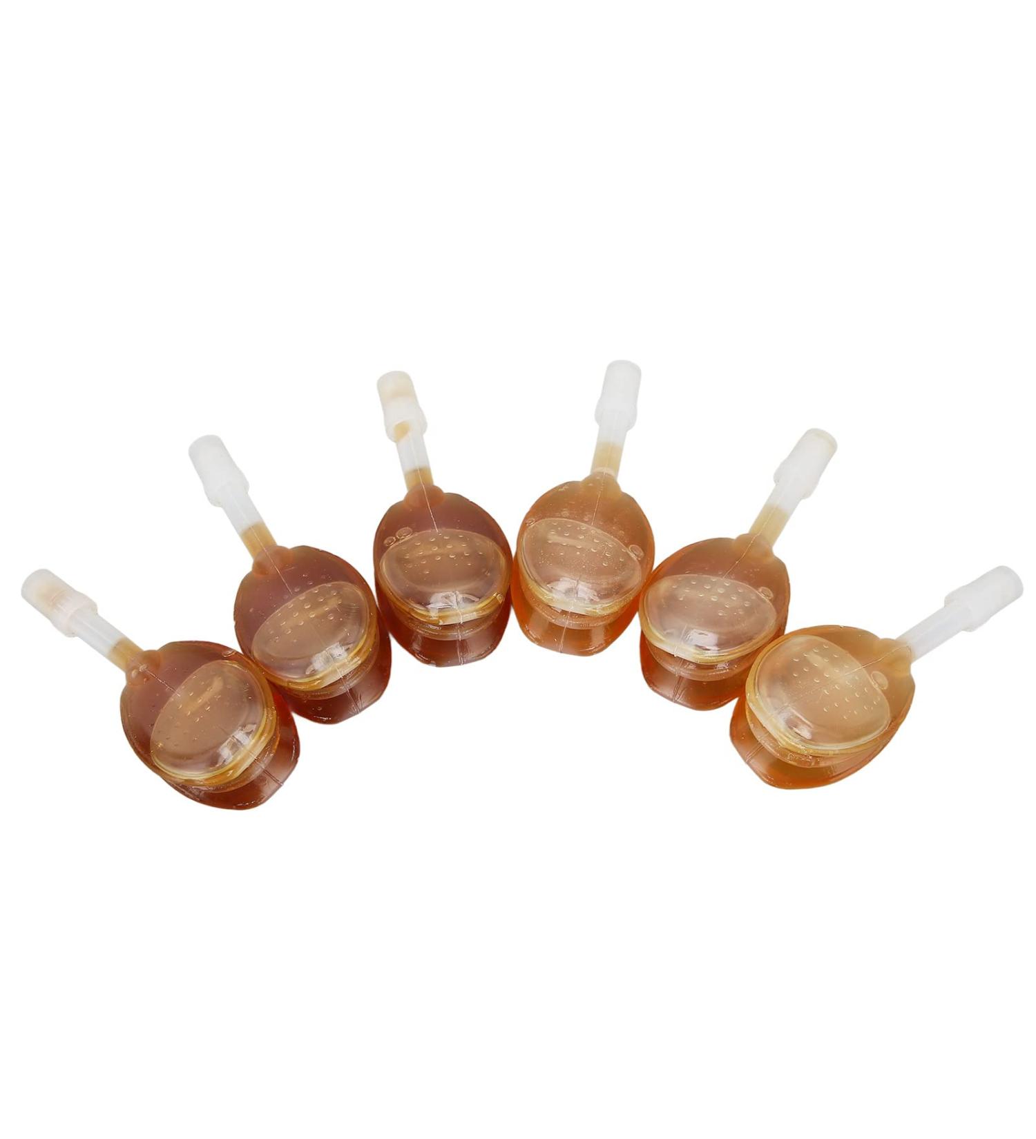 AMONIDA Liquid Glycerin Suppositories with Plum Extract - Safe Constipation Relief for Children - 6 Pack - Home Use - Buy Online on GoSupps.com