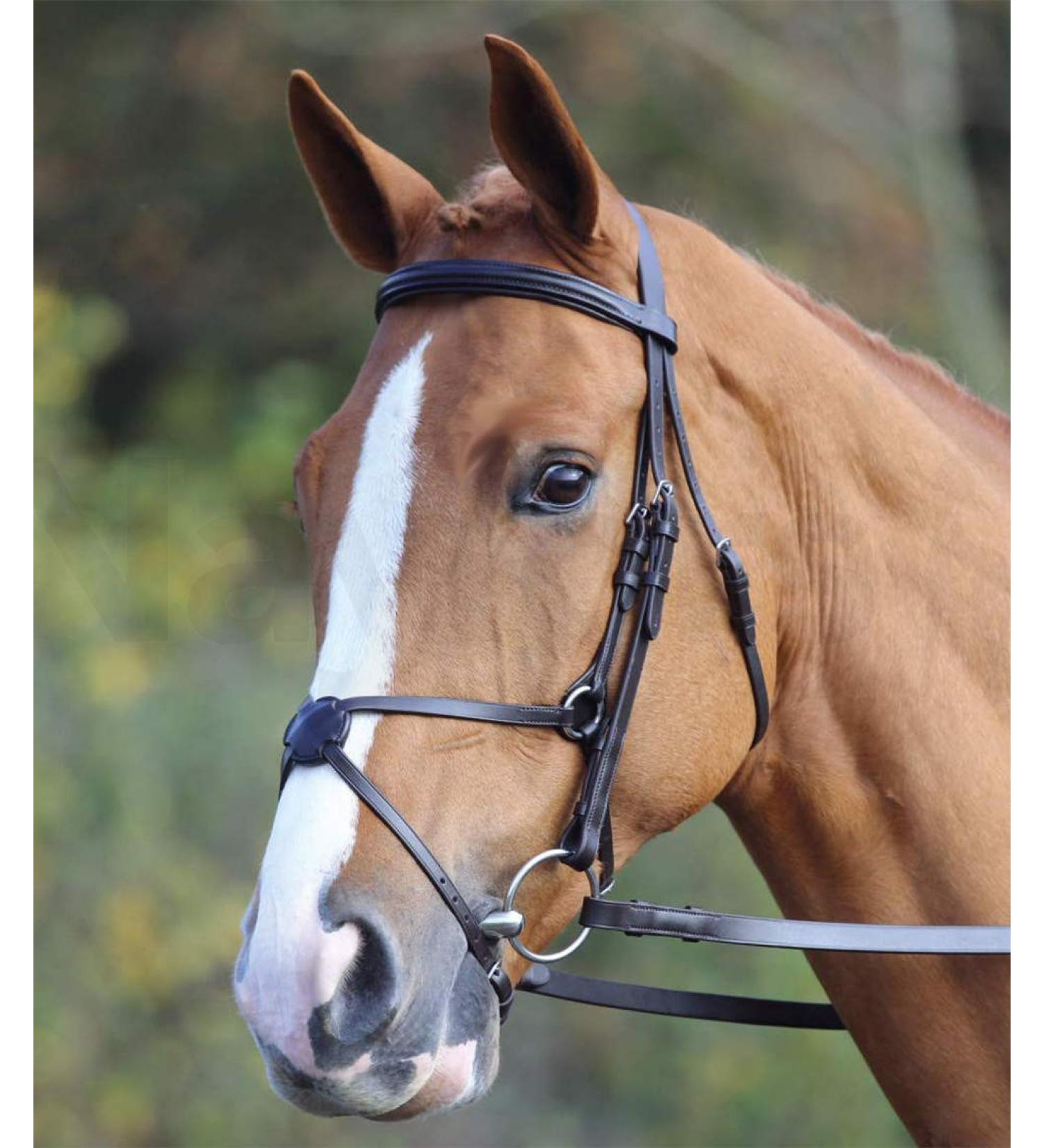 Shires Aviemore/Velociti Mexican Bridle 5004 Black Full Size