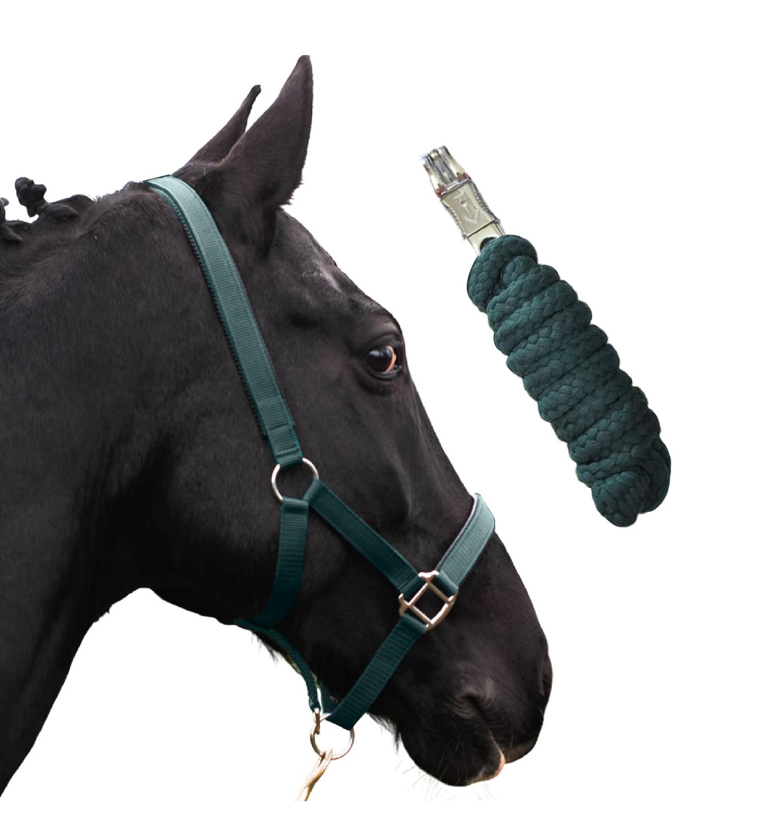Halter for Horses with Rope | Premium Knitting Horse Halter for Pony Thoroughbred & Full Sizes (Green COB X-Full) - Buy Online on GoSupps.com
