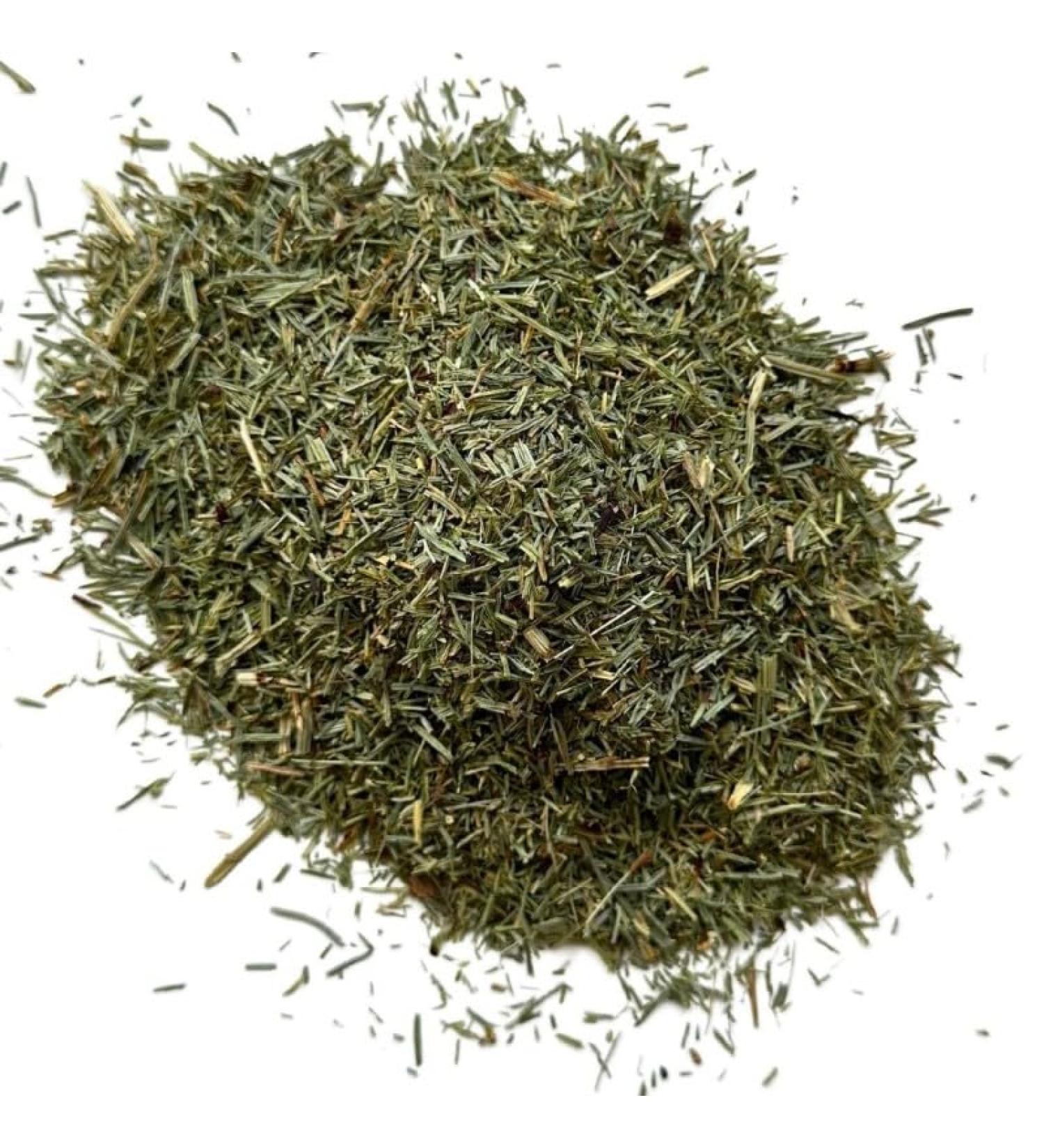 Herbal tea field horsetail 1 KILO (Cat's tail) plant. - Buy Online on GoSupps.com