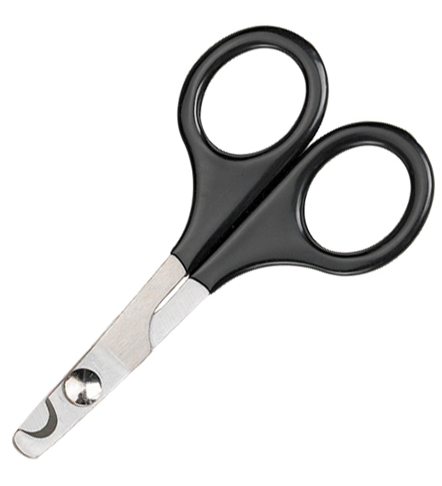 Master Grooming Tools Stainless Steel Pet Nail Scissors - Medium Size for Cats and Birds - Buy Online on GoSupps.com