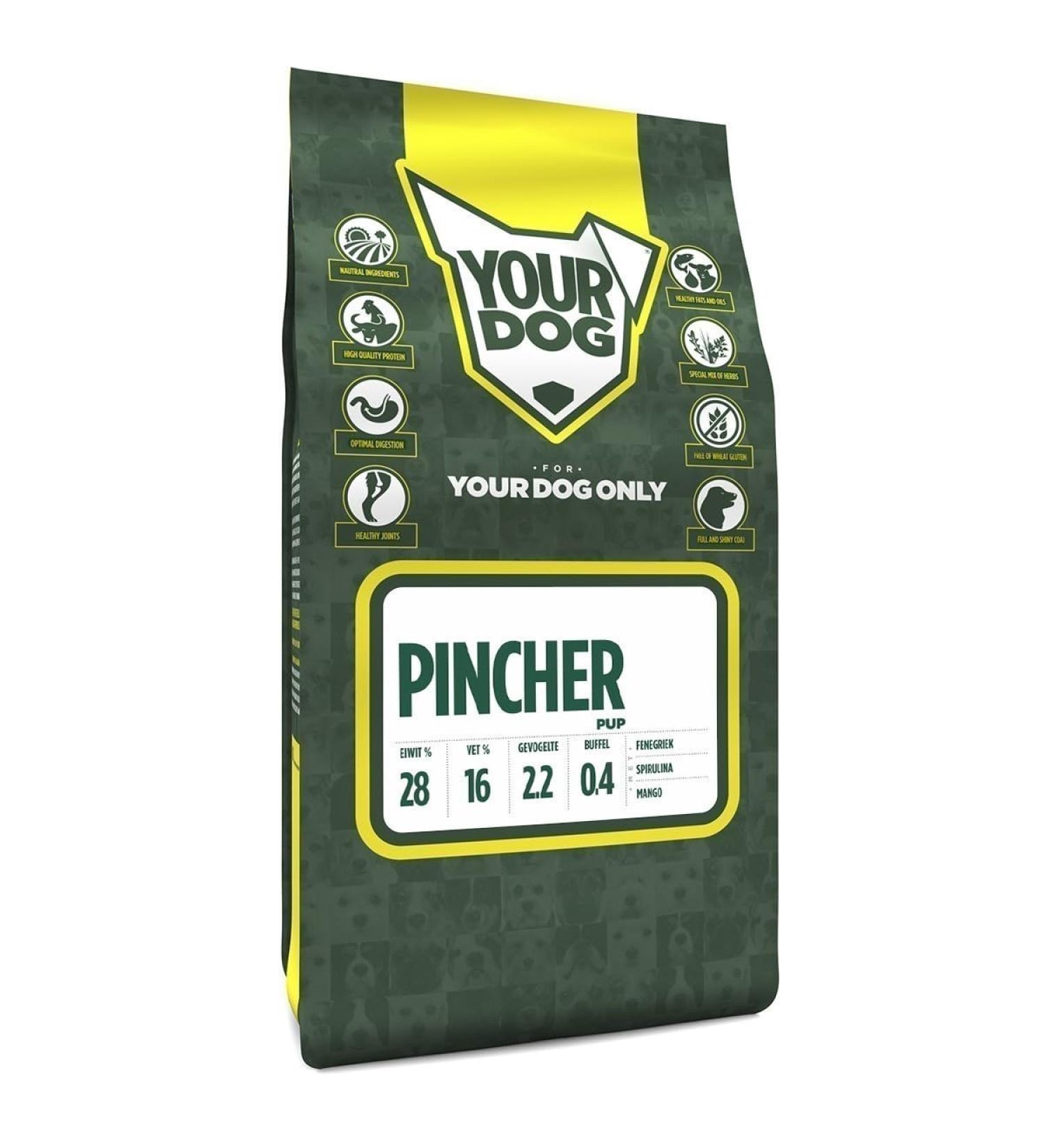 Yourdog Pincher Pup-3 KG