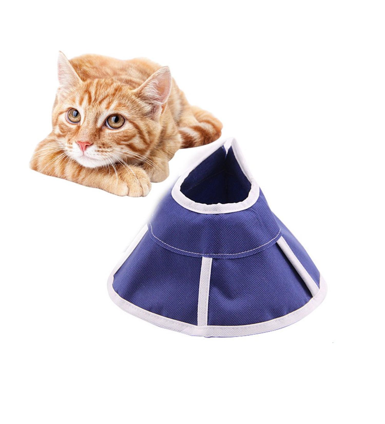 ASOCEA Adjustable Soft Pet Cone Collar for Dogs & Cats | Anti-Bite Healing Care | Small Size (4.3 inch / 11 cm) - International Shipping Available - Buy Online on GoSupps.com