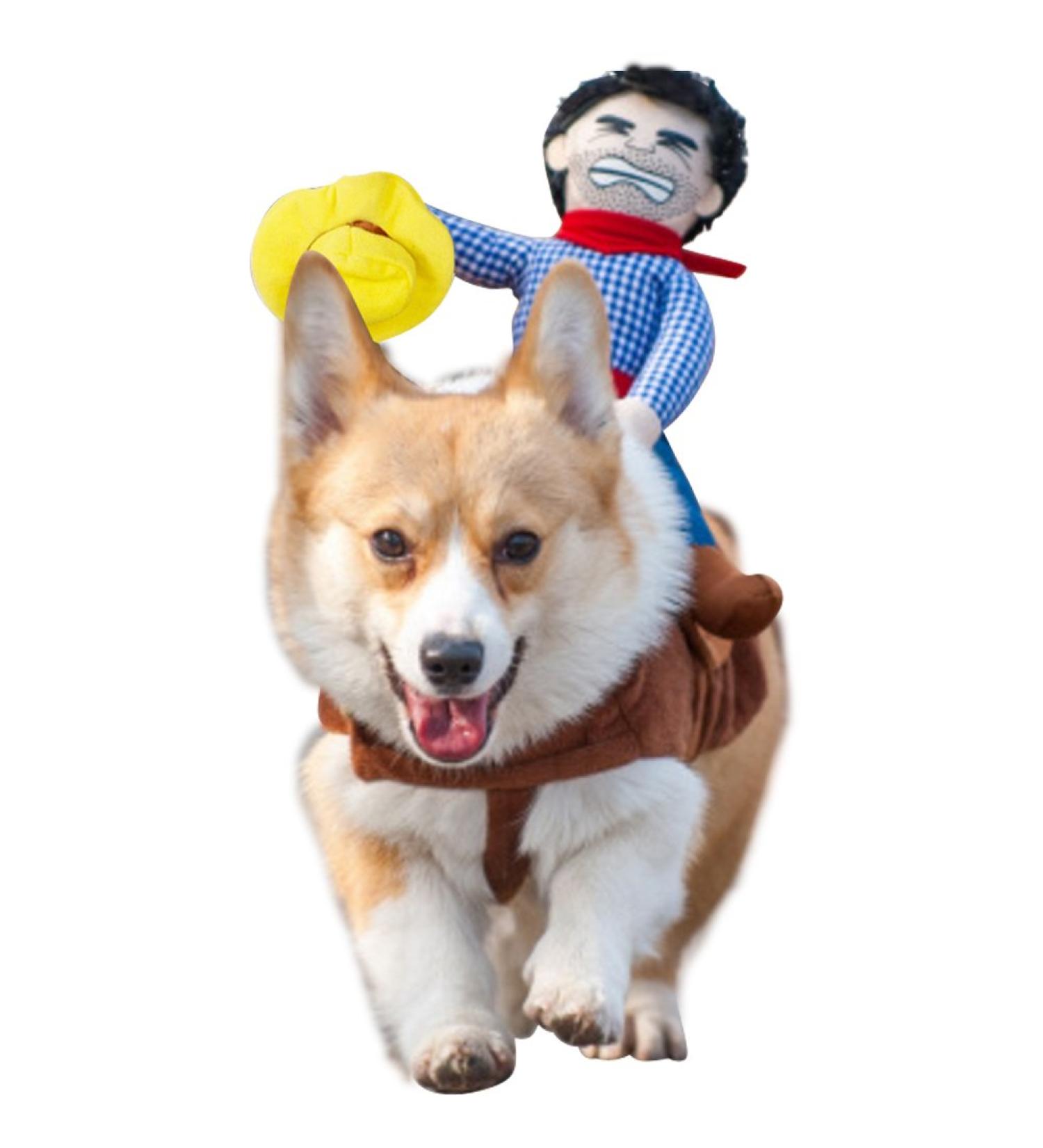 NACOCO Cowboy Rider Dog Costume with Doll and Hat for Halloween - Small - Buy Online on GoSupps.com