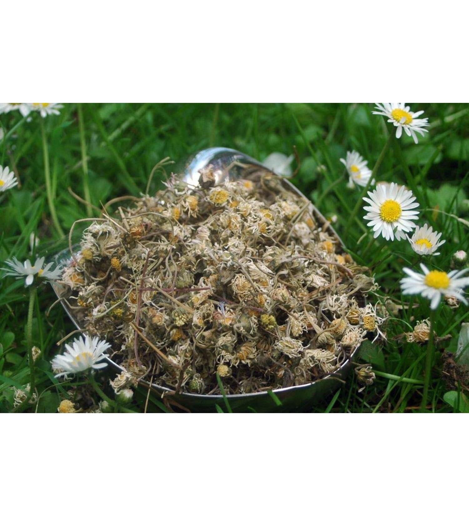 Krauterino24 Krauterino24 - Complete Daisy Quantity: 100g