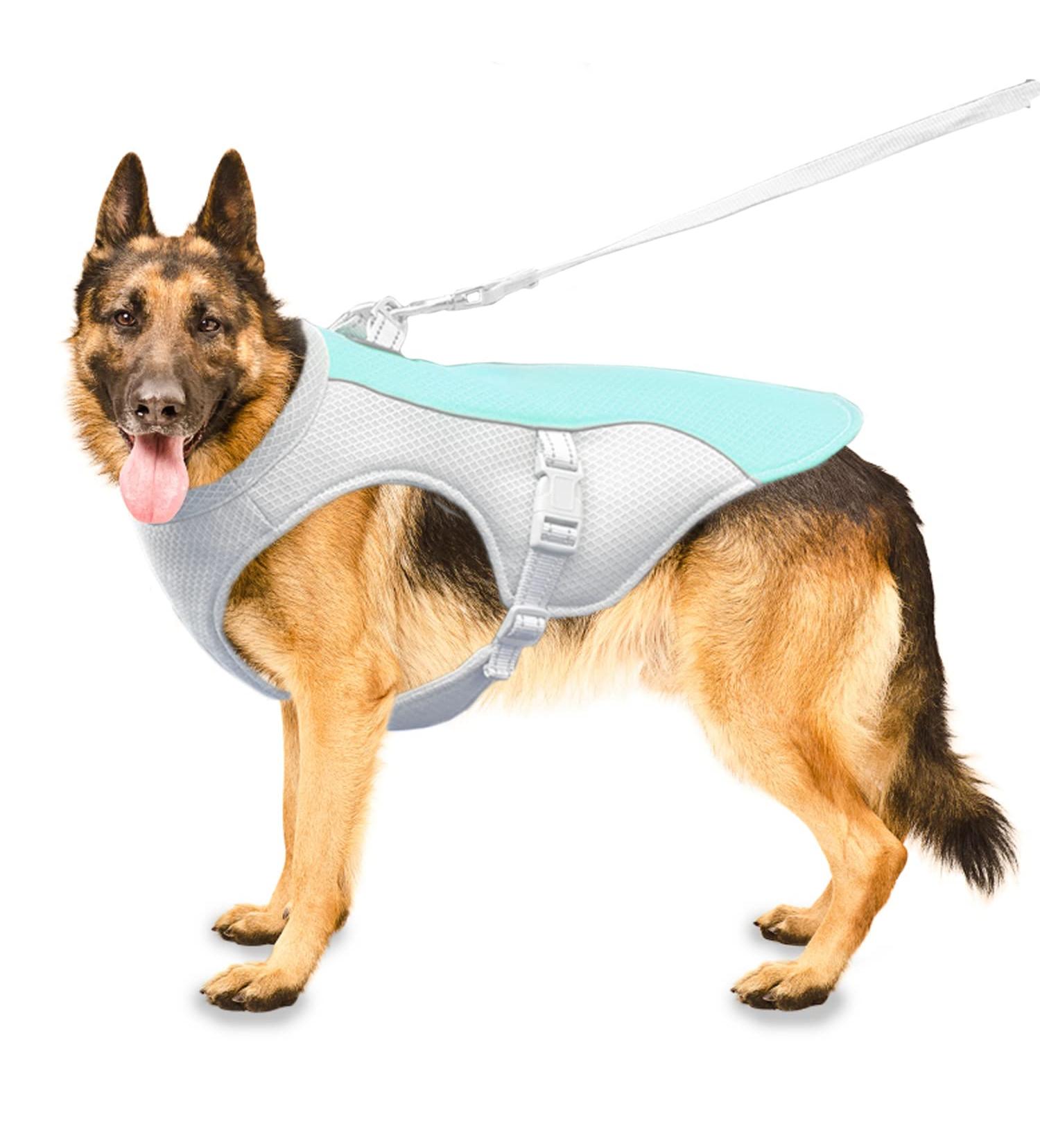 Adjustable Dog Cooling Vest - XL Blue Coat for All Breeds | Summer Heat Relief for Sports & Hot Weather - Buy Online on GoSupps.com