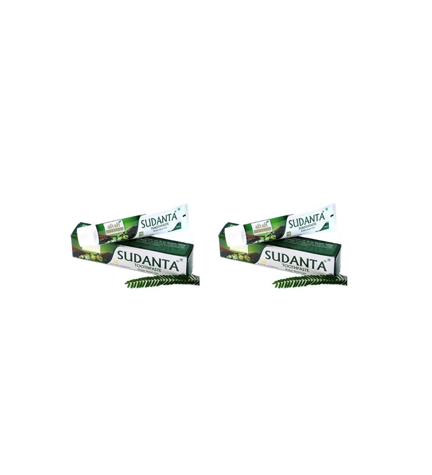Sri Sri Ayurveda Sri Sri Ayurveda Sudanta Toothpaste 100g (2 pieces)
