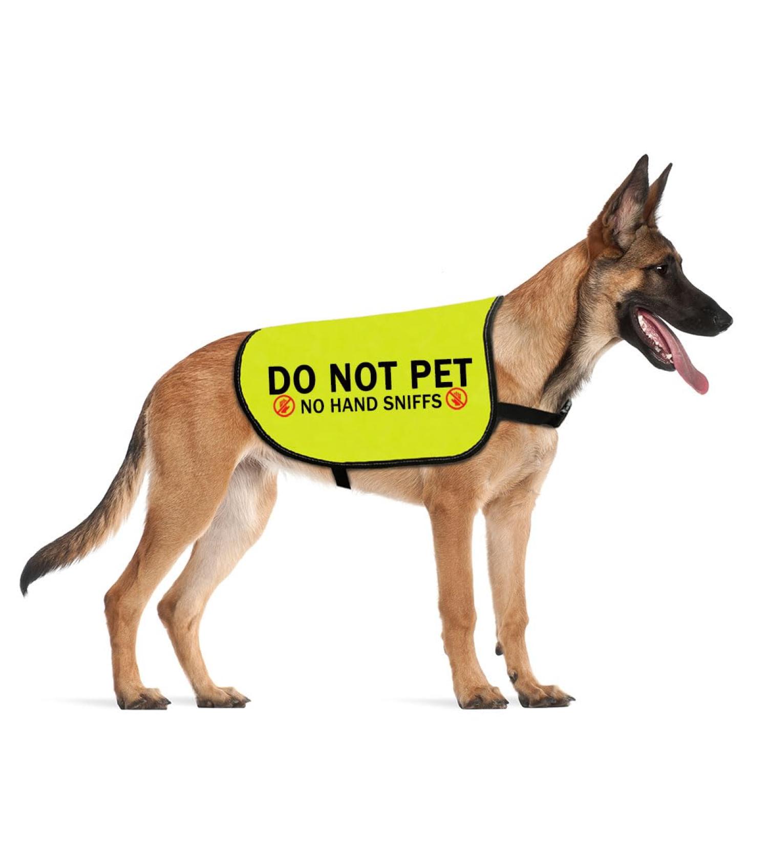 Do Not Pet No Hand Sniffs Dog Jacket Vest Nervous Anxious Dog Slogan Warning Vest (NO HAND SNIFFS Medium) NO HAND SNIFFS M EU - Buy Online on GoSupps.com