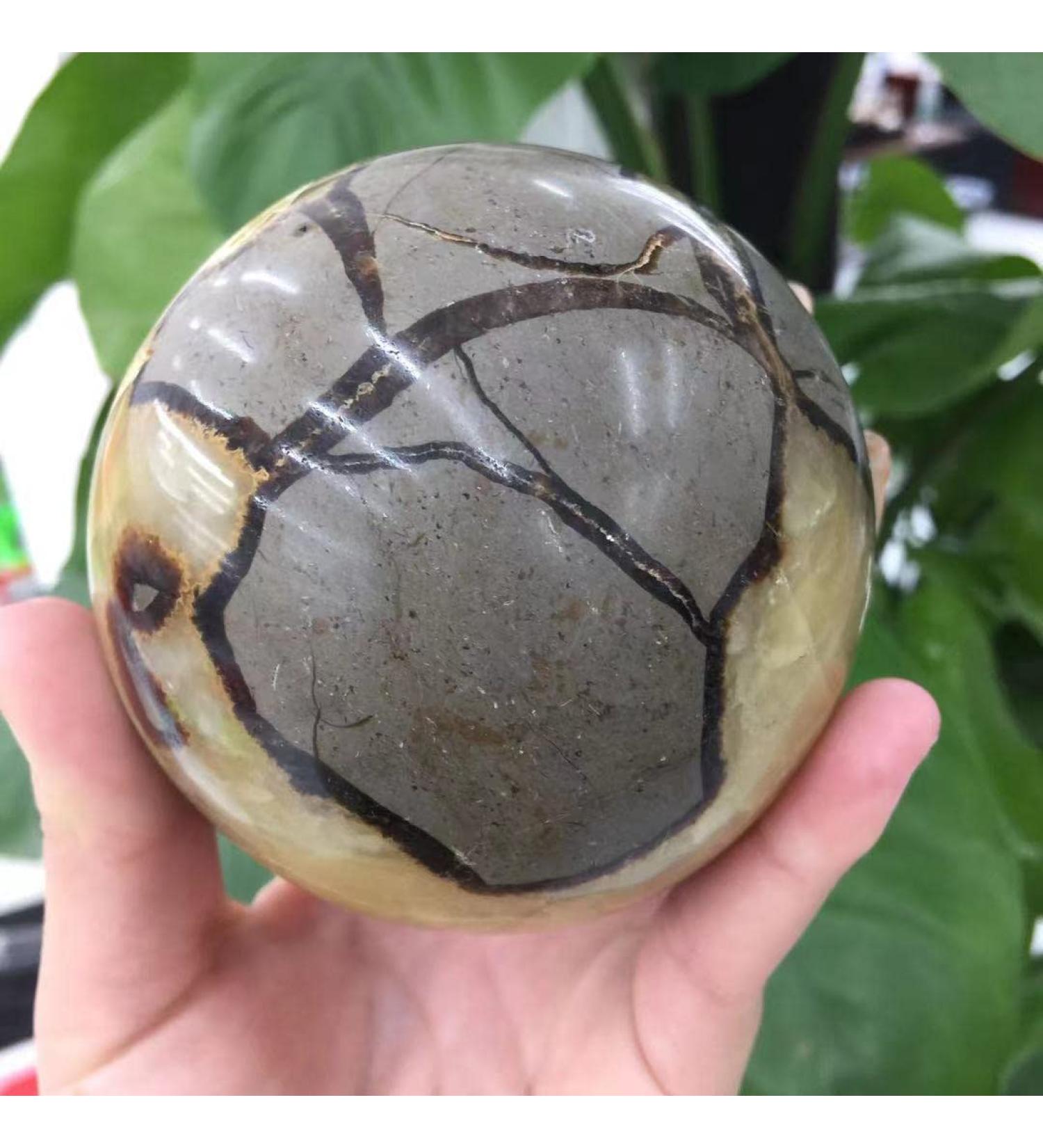Home Decoration Natural turtleback Stone Crystal Stones Stone Mineral Specimen (Size : 300-350g) - Buy Online on GoSupps.com