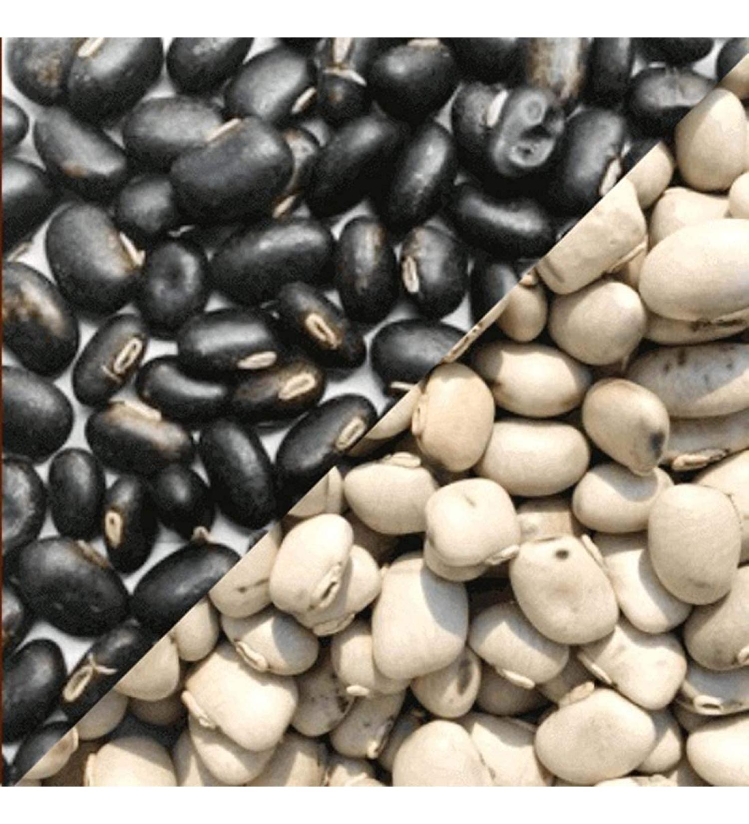 ploy Hardia Kaunch Beej Black kaunch Beej 400 gm White Kaunch Beej 400 gm Combo Pack 800 Gram