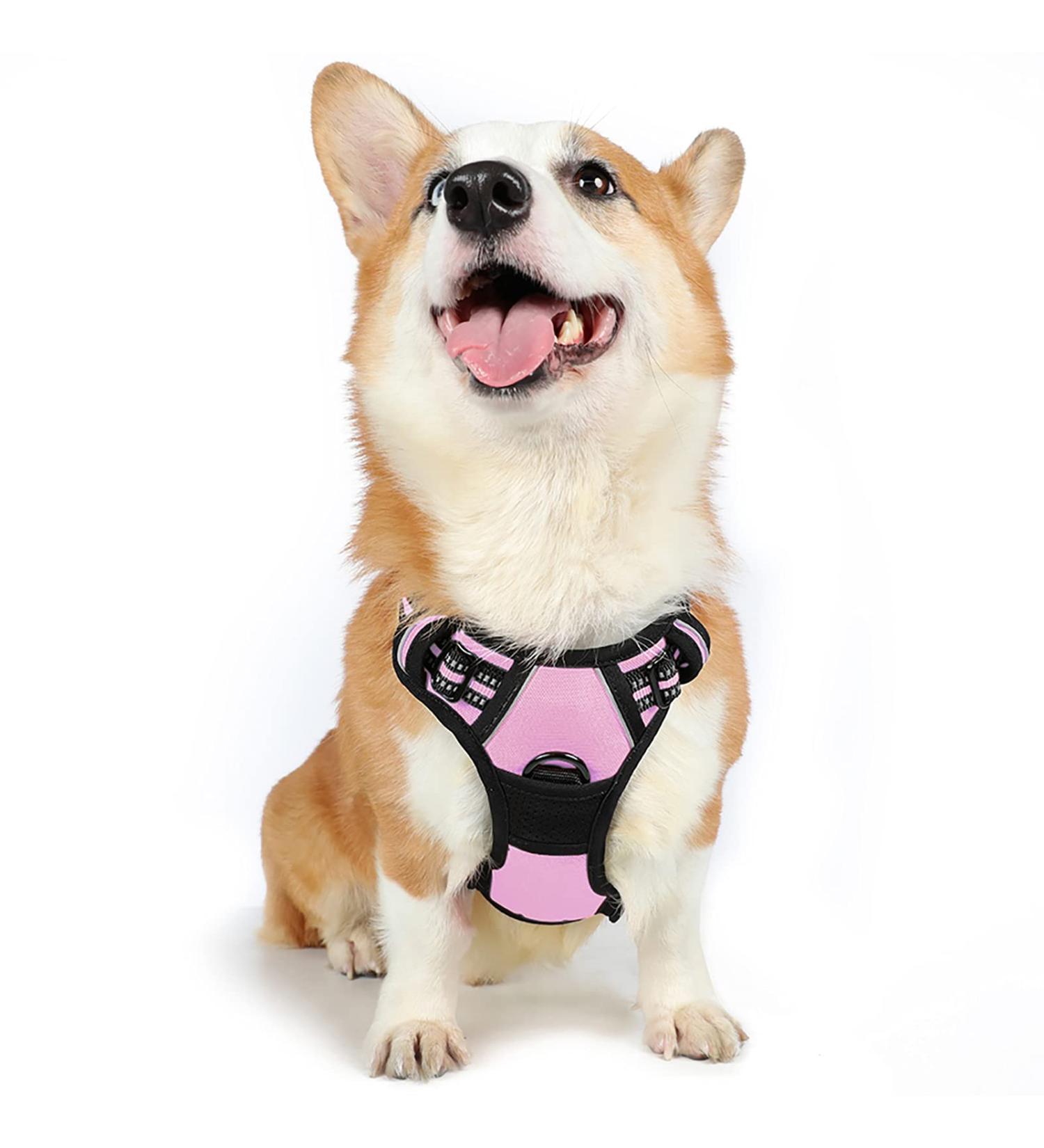Rabbitgoo Medium Dog Harness - No-Pull Adjustable & Breathable Control Harness for Large Dogs - Safe & Comfortable Pink Design (1 Pack) - Buy Online on GoSupps.com