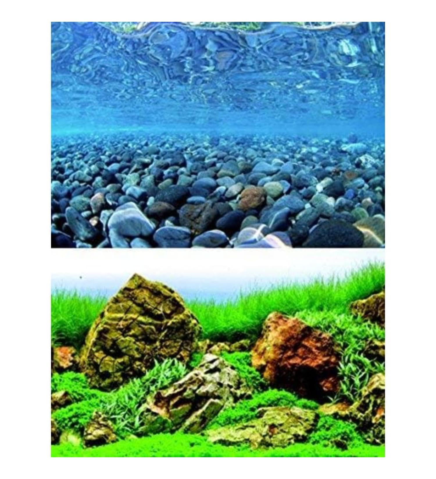 wave Double Background Vision Blister 60 X 150 cm