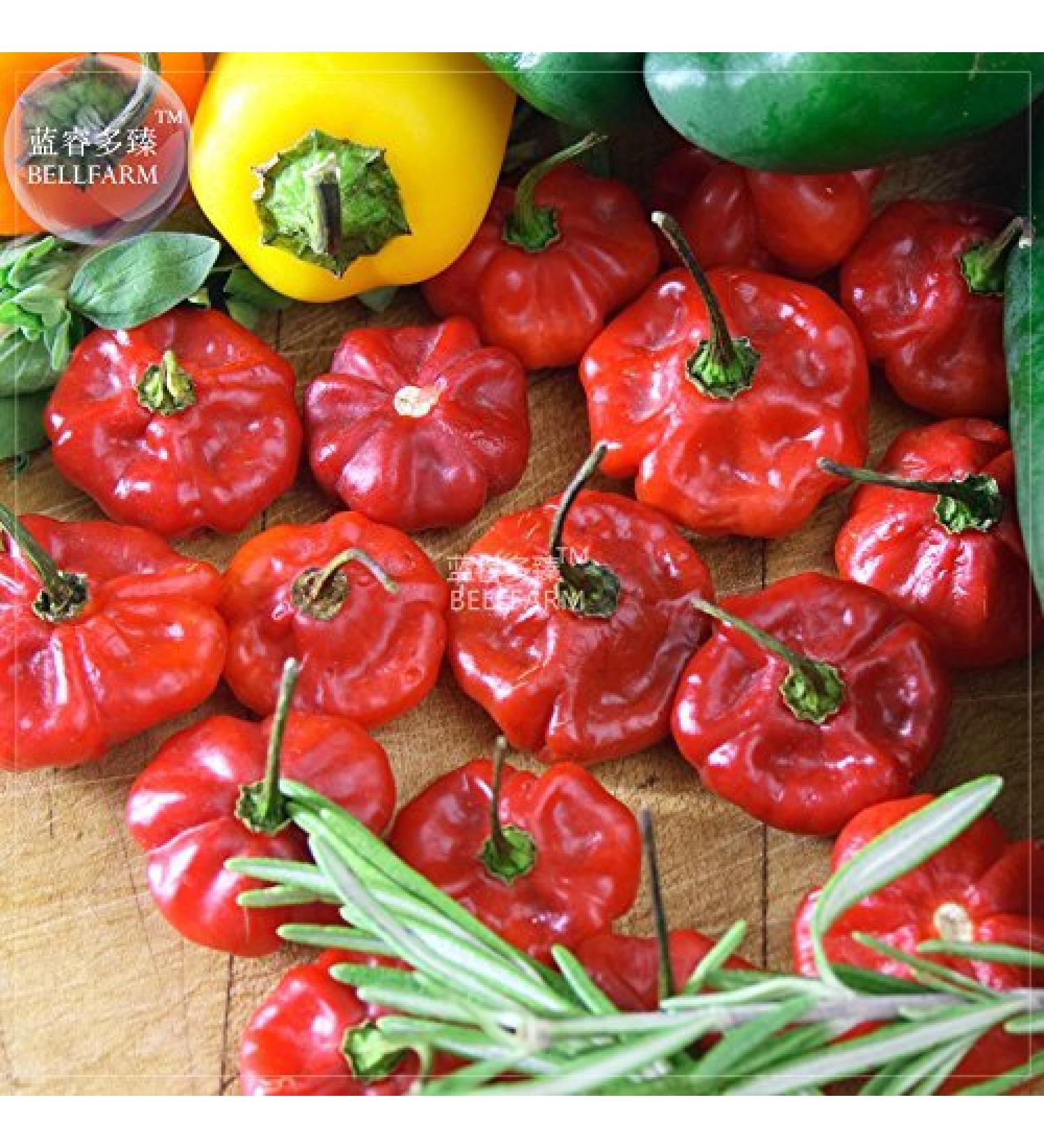 Farm Scotch Bonnet Rossi (Giallo) Hot Pepper semi di ortaggi 15 Semi 100% ritrovati Hot Chili giardino Della casa commestibile Bd201Hxt2