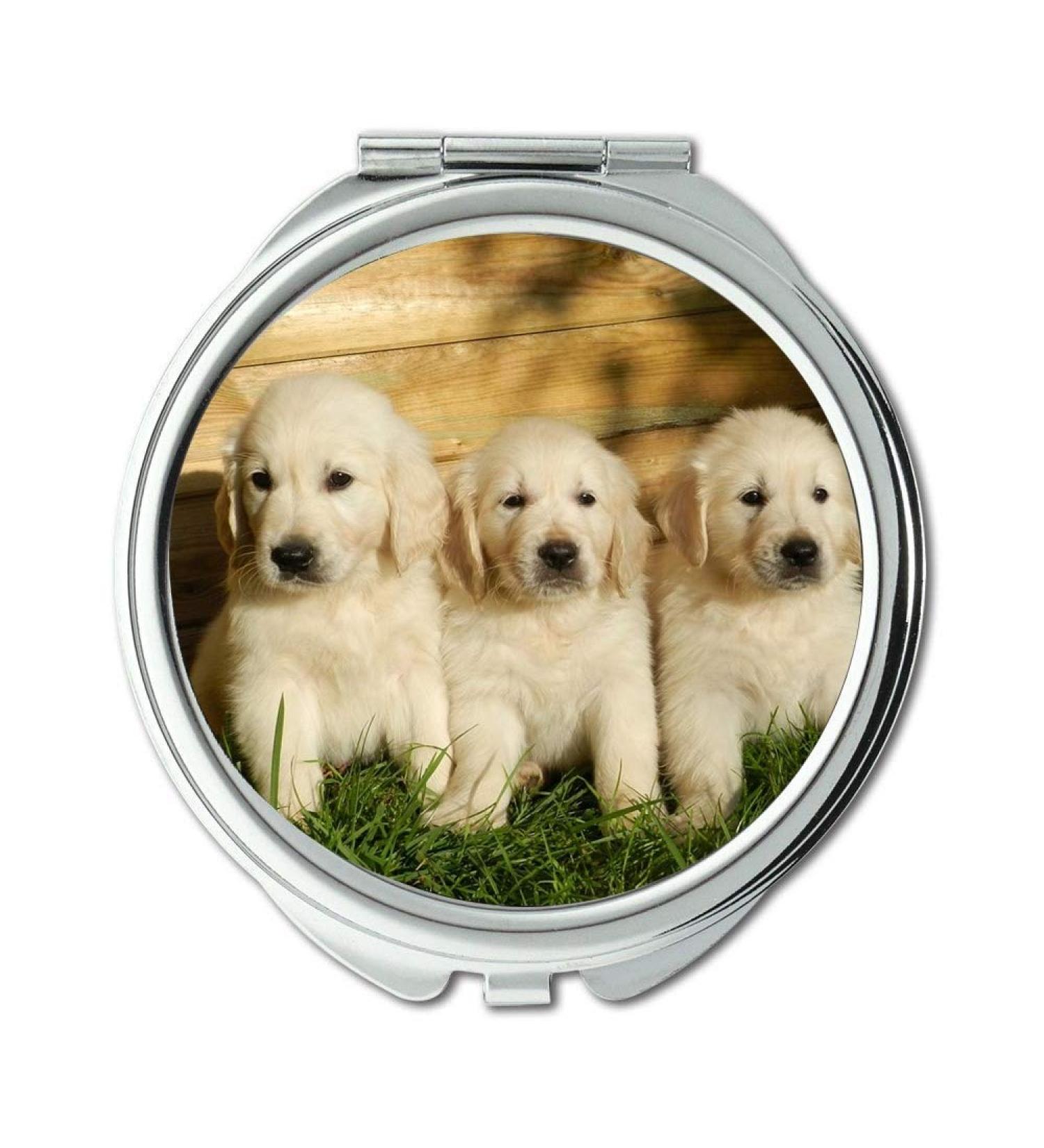 YENDOSTEEN Mirror makeup mirror Puppies Golden Retriever Cute Animal Dog pocket mirror portable mirror - Buy Online on GoSupps.com