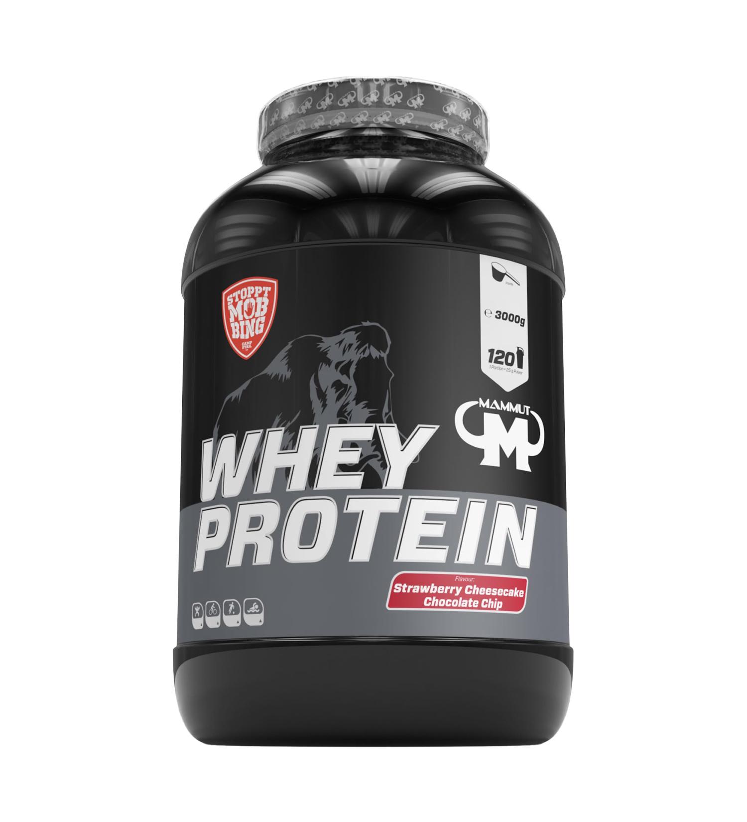 Mammut Nutrition Whey Protein Strawberry Cheesecake with Chocolate Chips - 3000g Protein Shake for Optimal Health - International Shipping Available - Buy Online on GoSupps.com