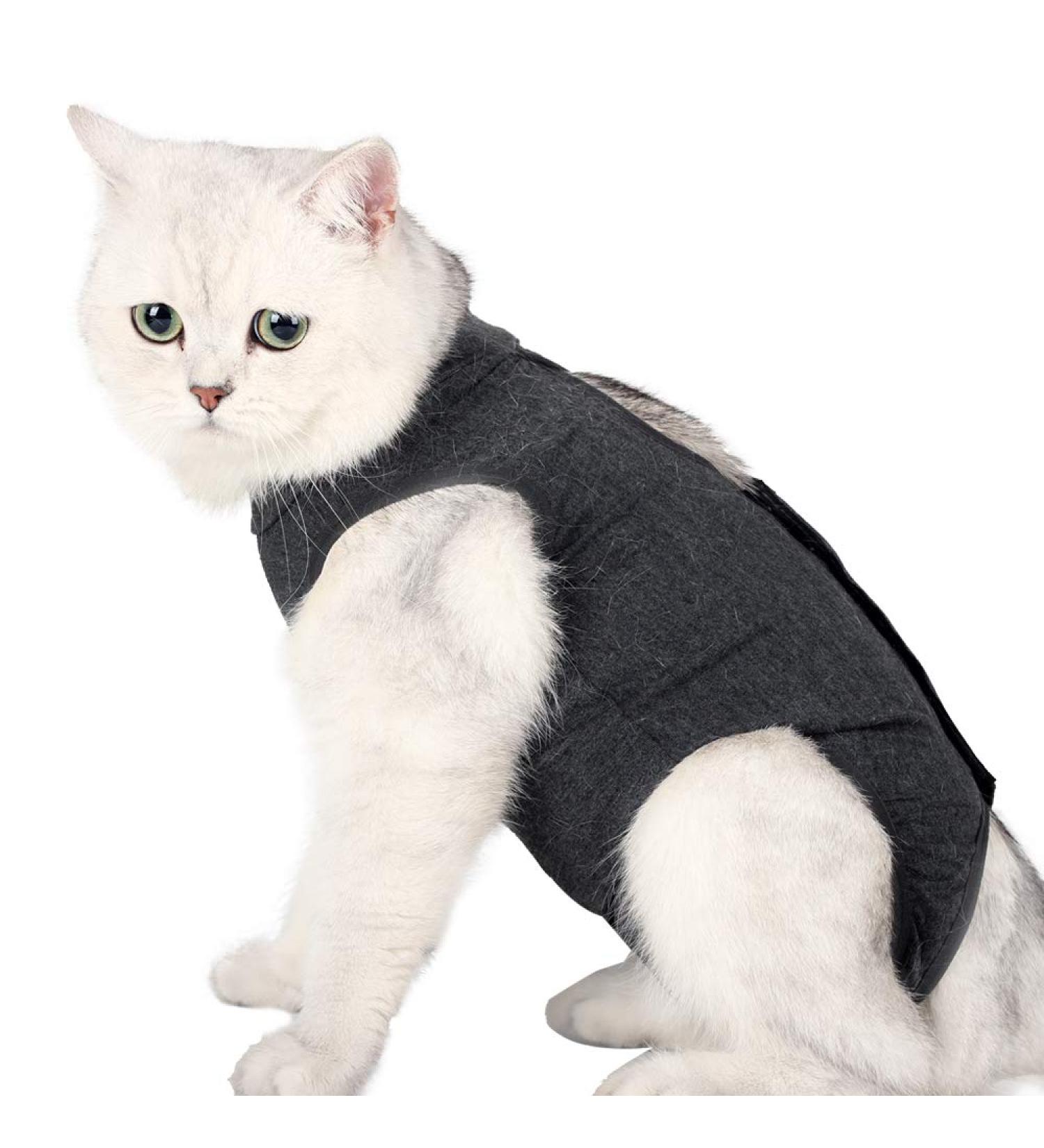 Lianzimau Katzenbody for Cats - Anti-Licking Post-Op Apparel Soft Indoor Pet Clothing with E-Neck Band Gray (1 Pack) - Buy Online on GoSupps.com