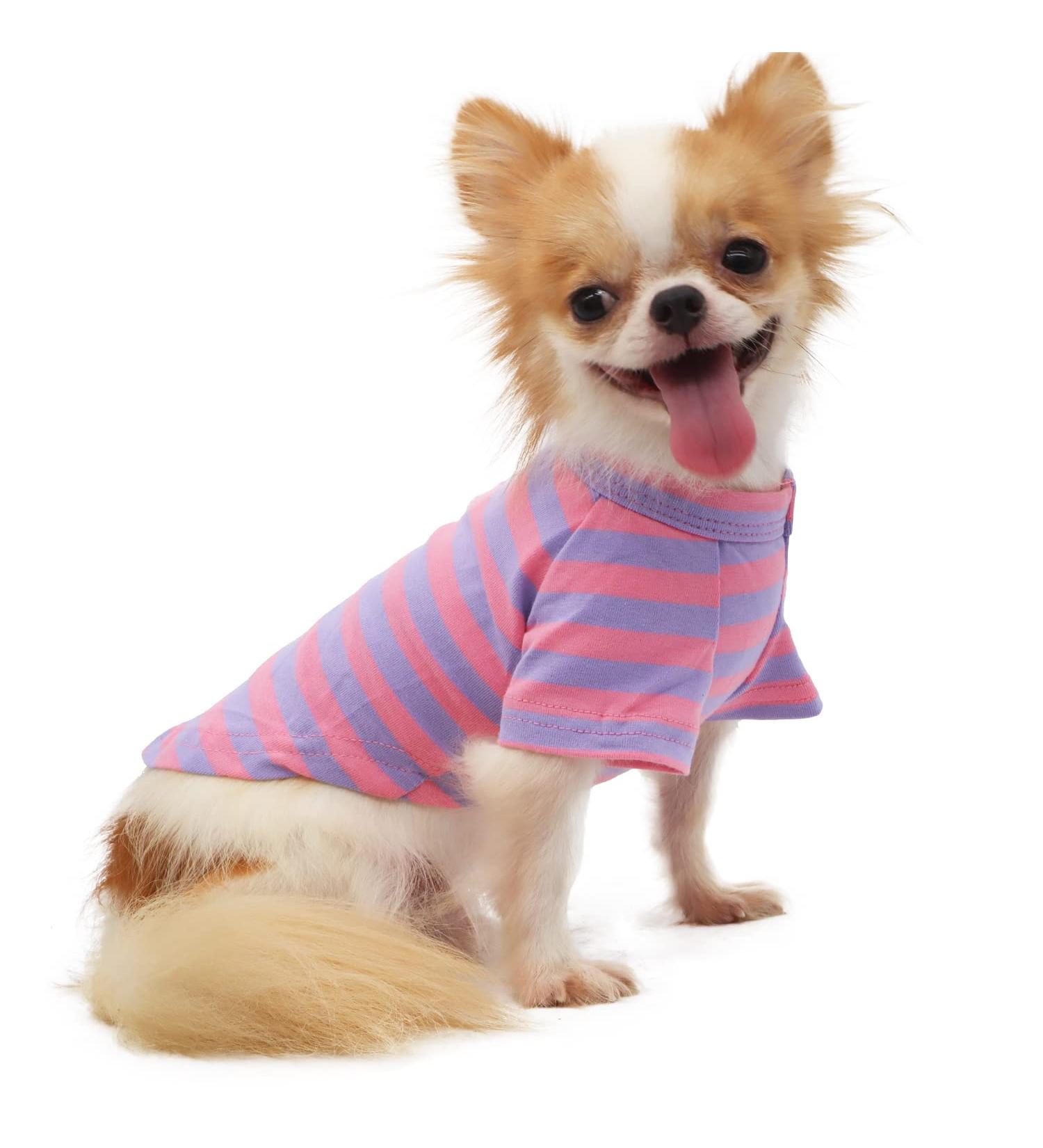 LOPHIPETS 100% Cotton Striped Dog Tee Shirt | Small Dogs Chihuahua Puppy Clothes | Tank Tee-Purple and Pink Strips | L Large 6.5-10 lbs - Buy Online on GoSupps.com