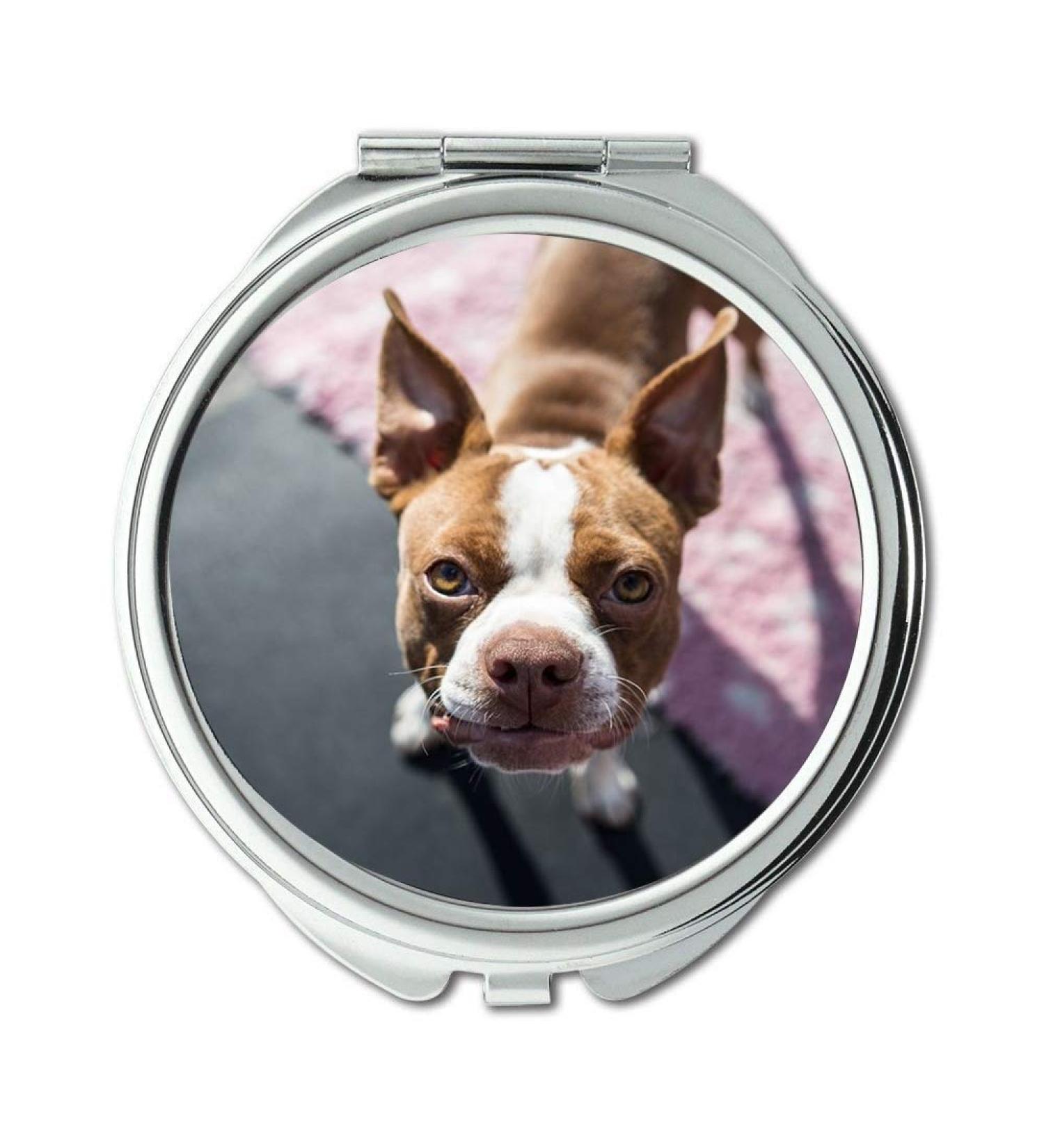 Mirror Compact Mirror Boston Terrier Pup Boston Puppy Small Face Young pocket mirror portable mirror - Buy Online on GoSupps.com