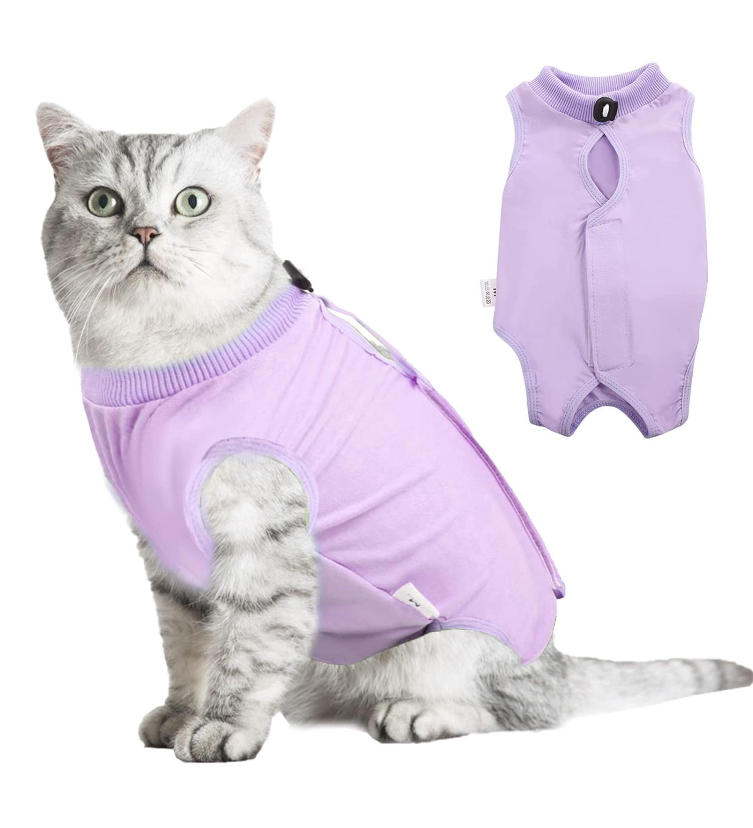 Buy Hipet Cat Surgical Suit - Recovery Vest for Abdominal Wounds & Skin Diseases | Anti-Licking Onesie for Cats (Large Violet) - International Shipping - Buy Online on GoSupps.com