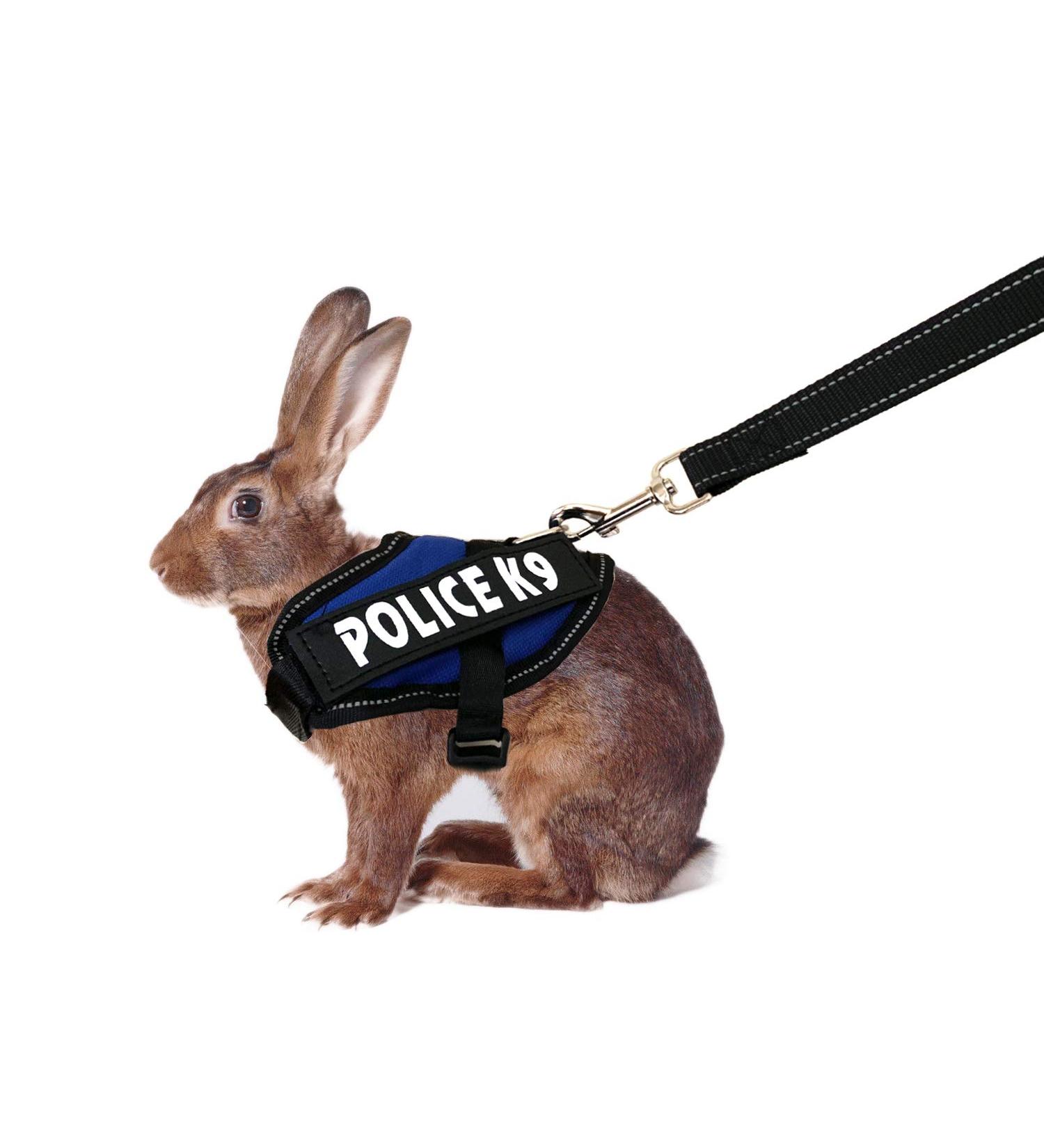 Vehomy Rabbit Harness with Leash for Rabbits Cats & Small Animals - Comfortable Blue Rabbit Harness for Safe Outdoor Adventures - Buy Online on GoSupps.com