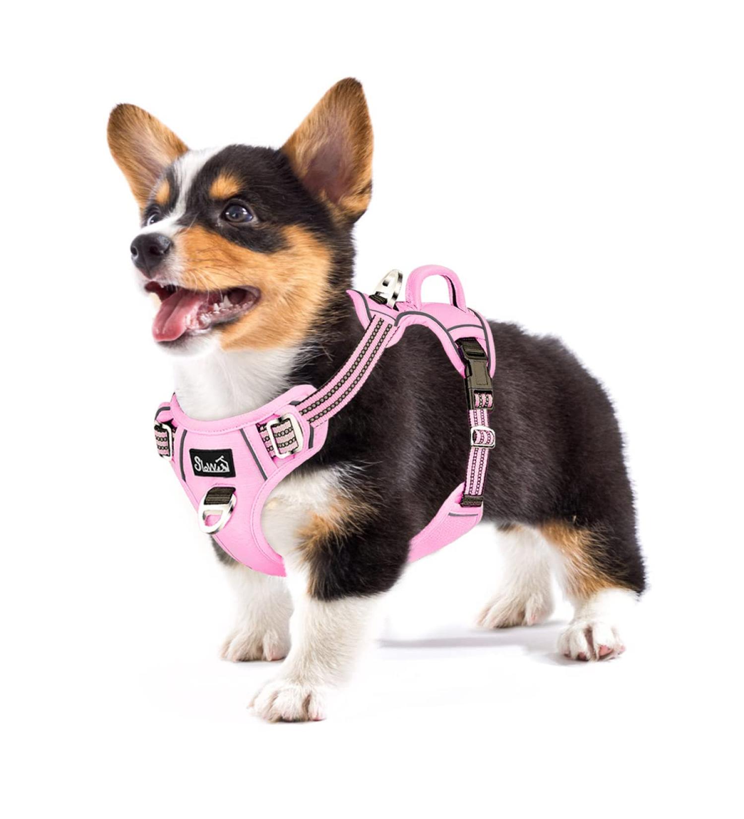 Eyin Adjustable Dog Harness for Small Dogs - Breathable Reflective Padded & Handle - Perfect for Daily Training (Pink Size S: Neck 32-46cm Chest 35-63cm) - Buy Online on GoSupps.com