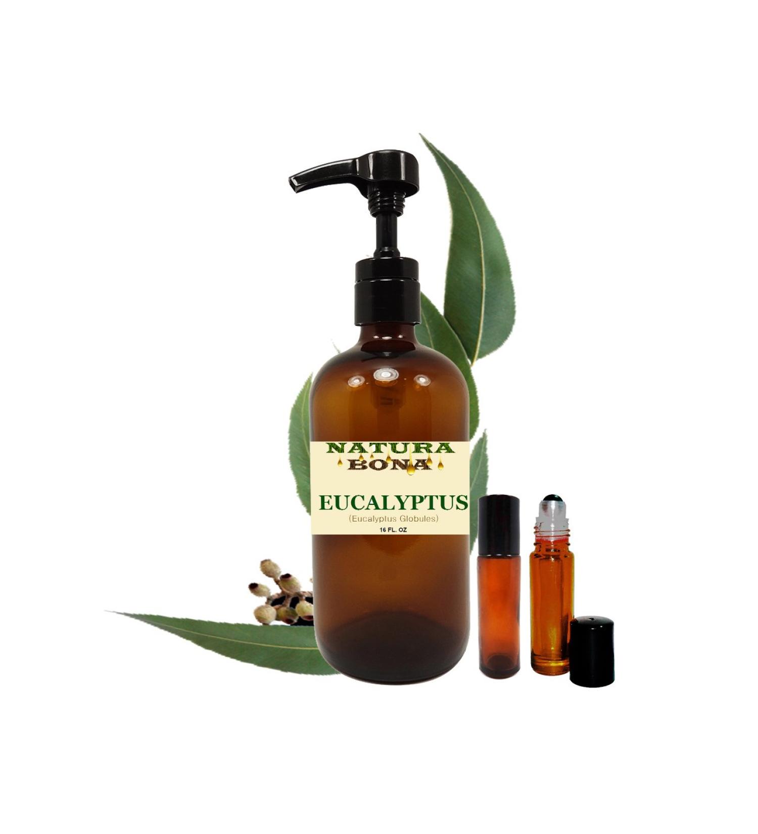 Eucalyptus Essential Oil 16 oz Pump Bottle with 2 Amber Glass Roller Bottles. - Therapeutic Grade 100% Pure Eucalyptus Oil