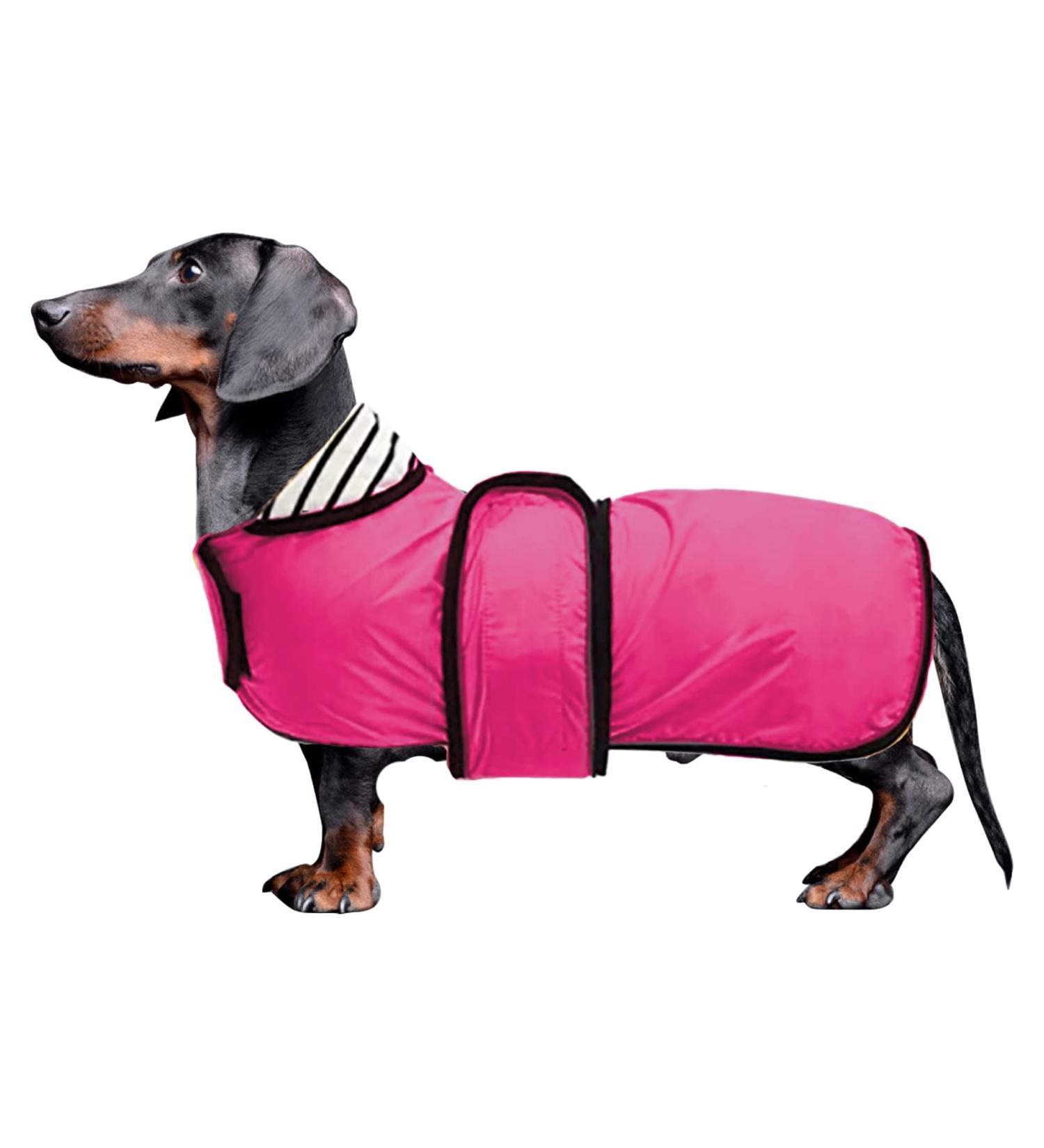 Dachshund Raincoat Waterproof with Reflective Trim - Pink, S Small (14-15 in) - Dog Rain Gear for Autumn/Winter - Buy Online on GoSupps.com