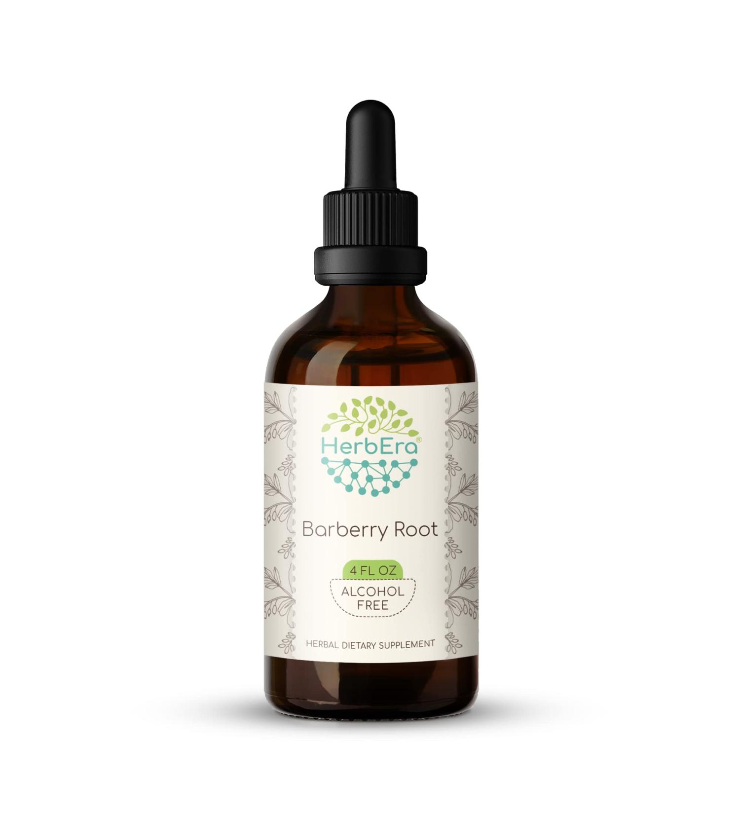 Barberry Root B120 Alcohol-Free Herbal Extract Tincture - 4 fl oz Concentrated Liquid Drops | Natural Berberis Vulgaris Supplement - Buy Online on GoSupps.com
