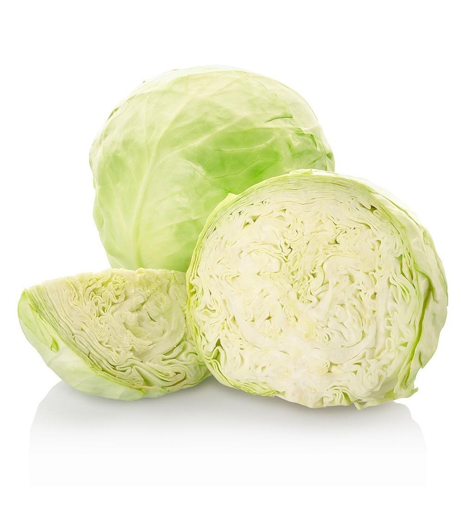Veenas Fresh Cabbage White | Apprx 500G | Fiber | Vitamin K | Make Salads | 100% Fresh Vegetable | Indian Origin