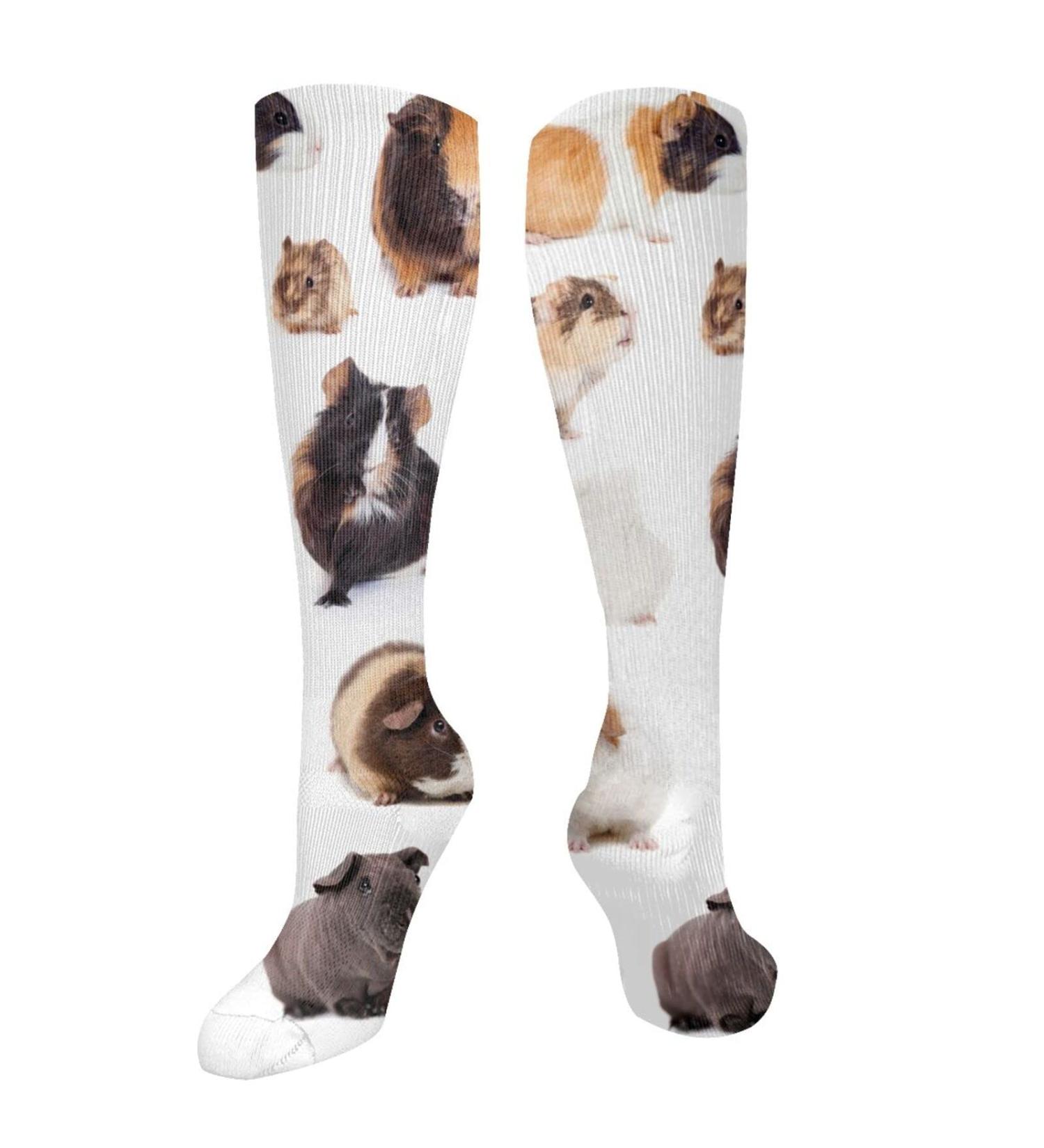 Guinea Pig Compression Socks for Men & Women | 15-20 mmHg Support for Running & Cycling - Buy Online on GoSupps.com