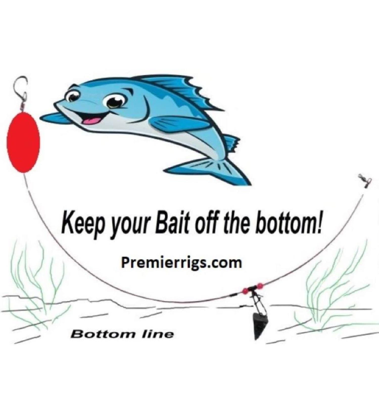 PremierAirCovers - Steel 100# Test Surf Fishing Tackle Rig for Saltwater - Buy Online on GoSupps.com