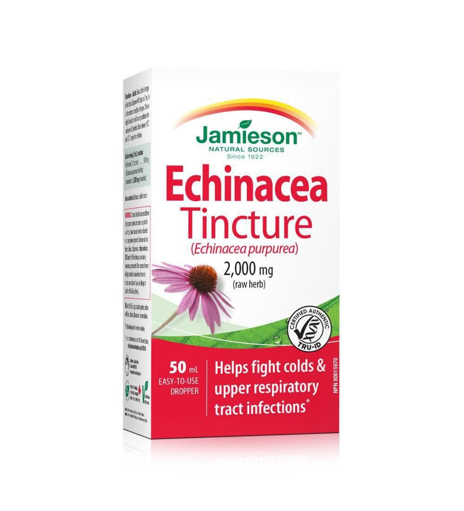 Echinacea Purpurea Tincture 2 000 mg 7 Count (Pack of 1) - Buy Online on GoSupps.com