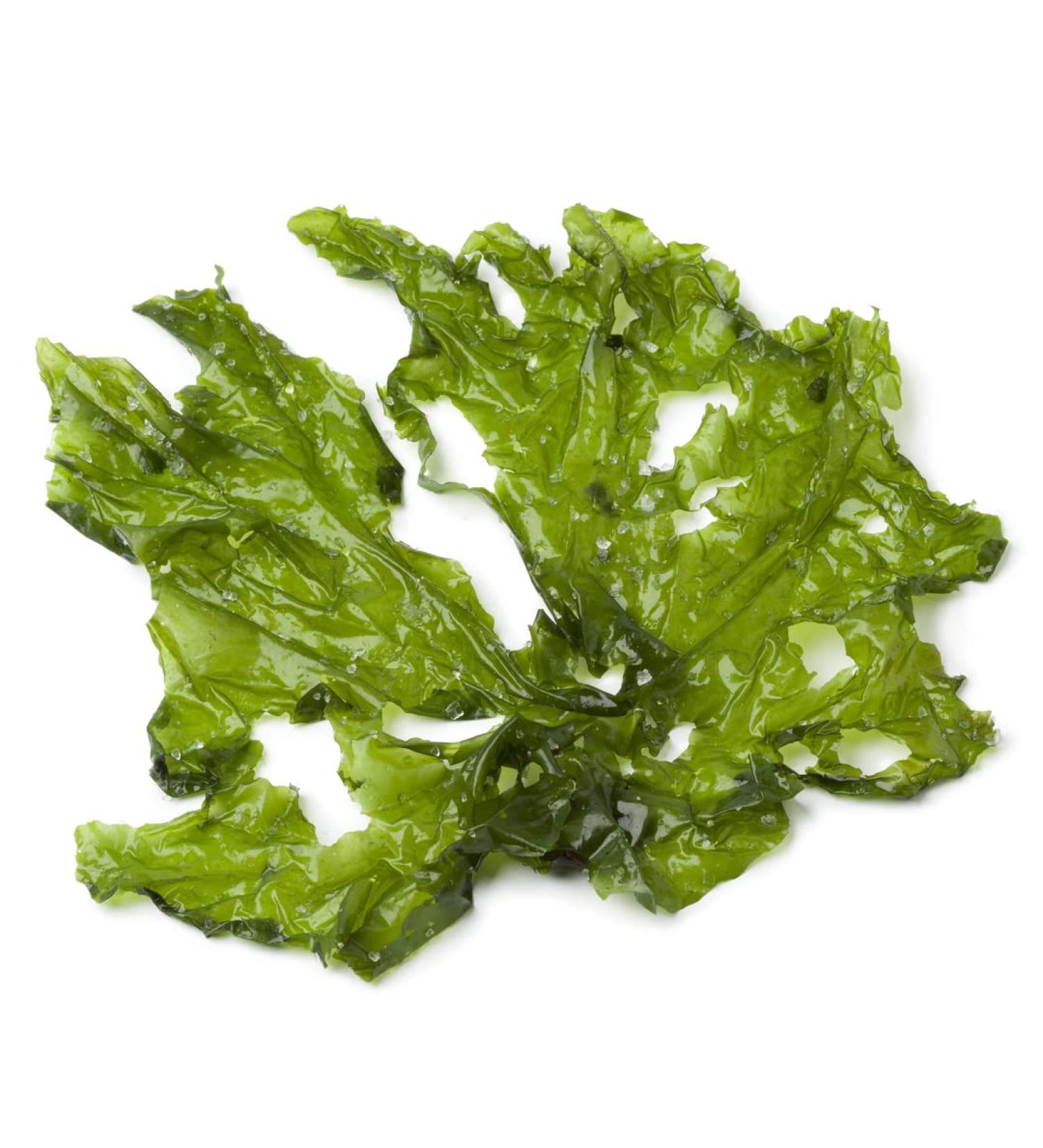 Fresh Lettuce Seaweed 1 kg -/+10%