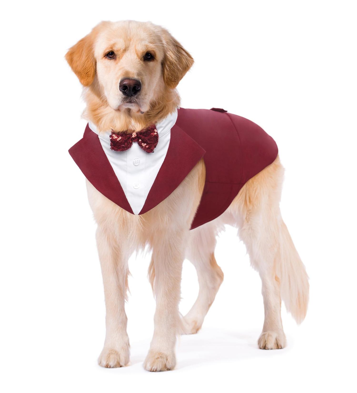 Kuoser Dog Tuxedo Suit & Bandana Set for Large Dogs | Formal Wedding Attire with Bow Tie | Dark Red | L 16.5 Back, 20.9-25.6 Chest | Golden Retriever, Samo Bulldogs - Buy Online on GoSupps.com
