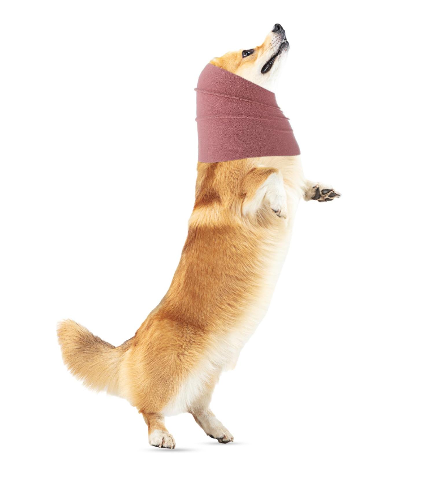 Amaxiu Dogs Ear Warmer & Snood Neckerchief - Comfortable Headgear for Dogs (M Pink) - International Shipping Available - Buy Online on GoSupps.com