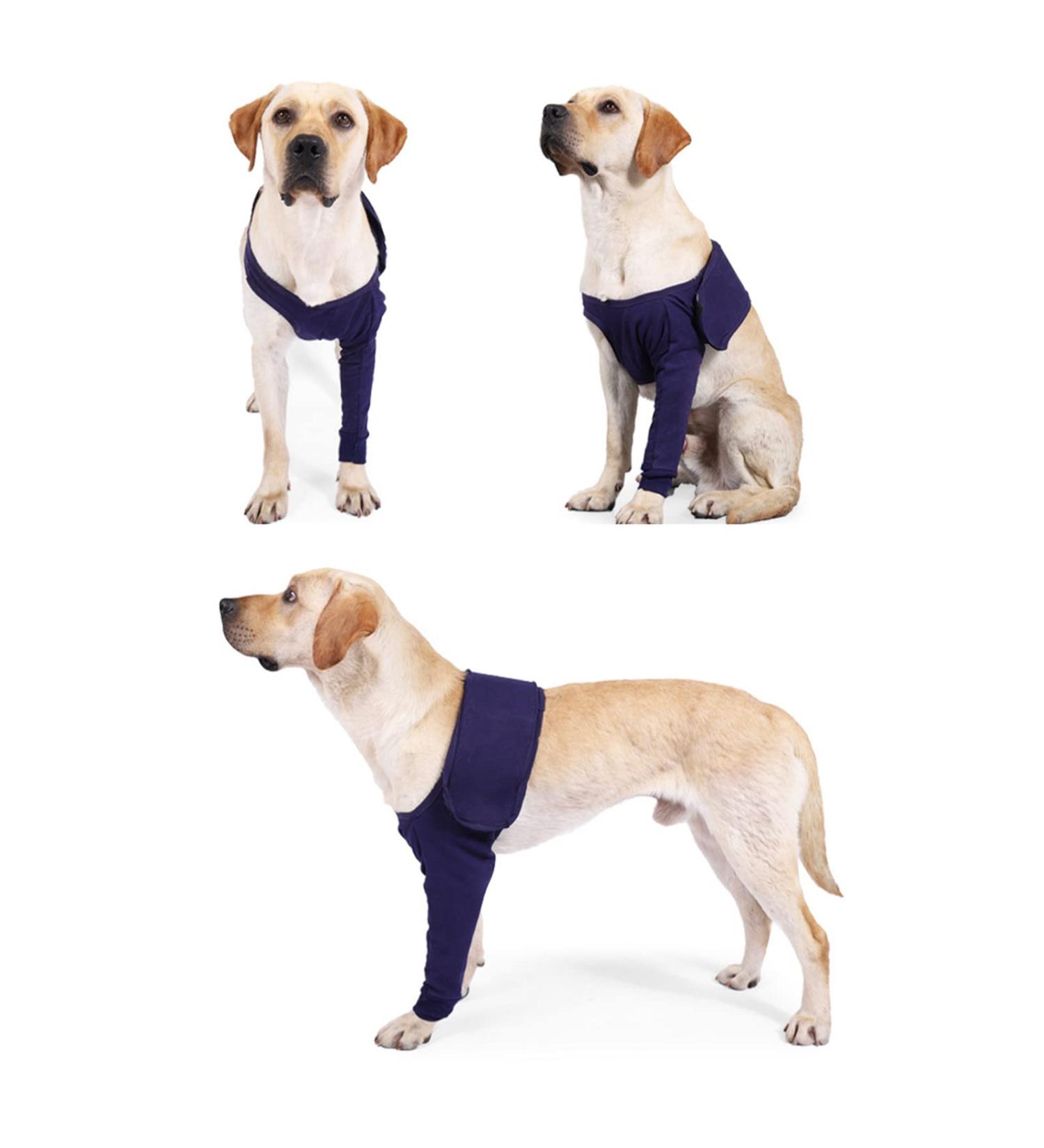Dog Elbow Brace Protector Pads Dog Elbow Protector Highly Elastic Breathable Lick Proof Canine Elbow Protector for Postoperative Recovery (M) - Buy Online on GoSupps.com
