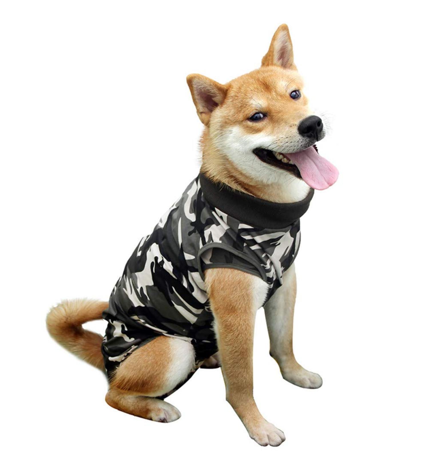 WPCASE DOG Recovery Suit for Surgery - Professional Belly Wounds Shirt E-Collar Alternative Green 3XL - Post-Op Comfort for Dogs - Buy Online on GoSupps.com