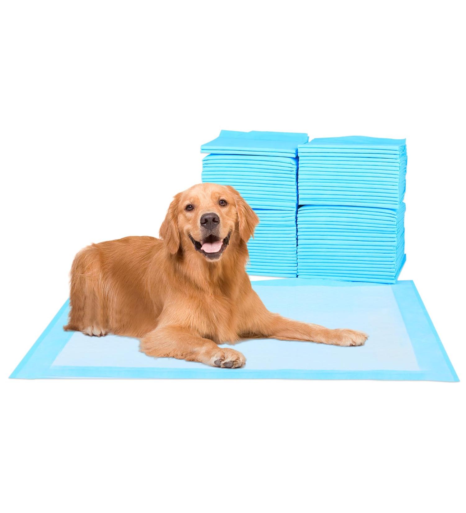 Fluffydream Superabsorbing Waterproof Dog Training Pads - 40-Piece Housebreaking Pet Pad 60x60cm Ideal for Puppies - Shop Internationally! - Buy Online on GoSupps.com