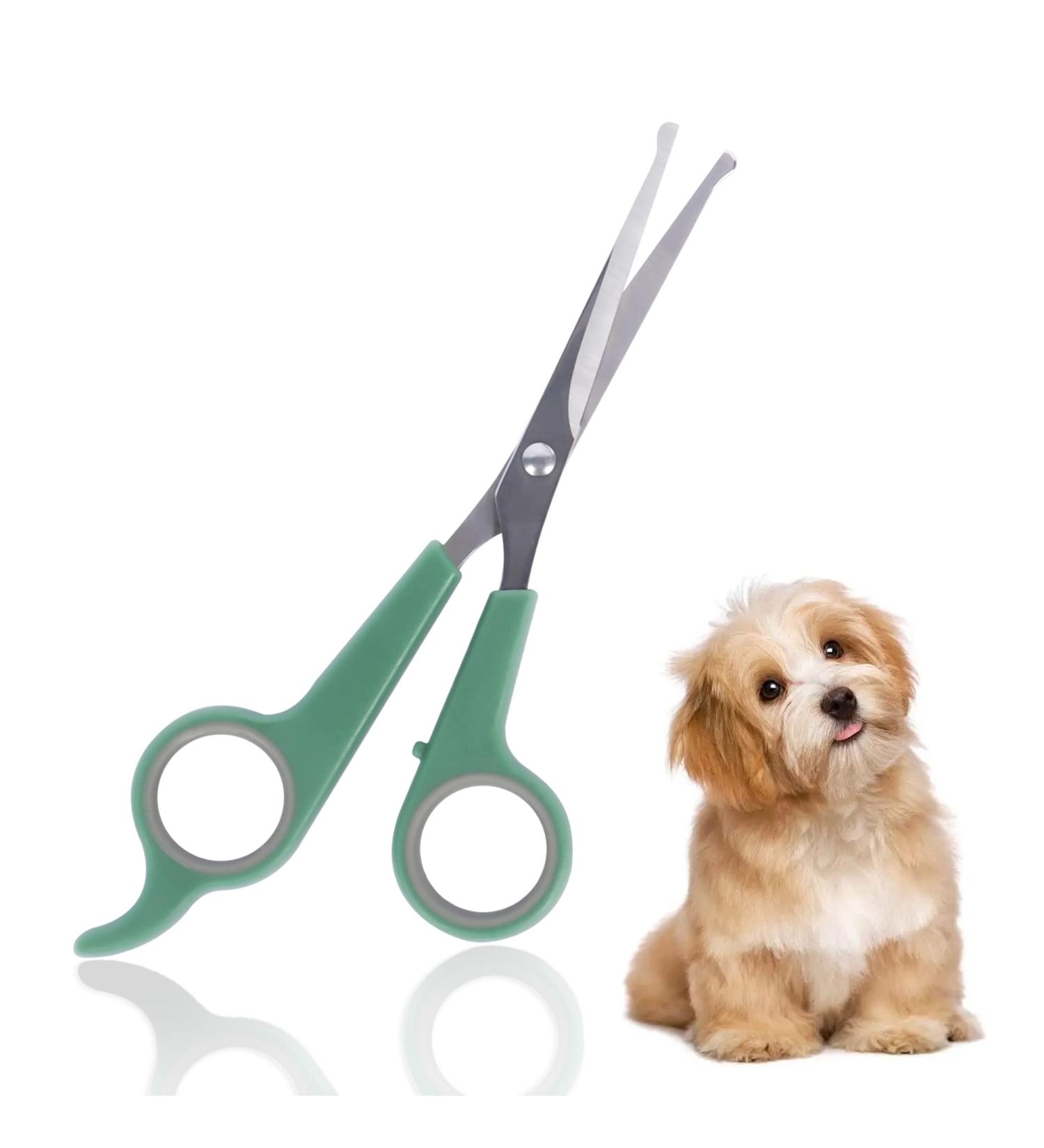 Autrucker Dog Scissors Grooming Dog Grooming Scissors with Safety Round Tip Stainless Dog Scissors Sharp Cat Grooming Scissors Dog Hair Cutting Scissors Professional Grooming Scissor Stainless Green - Buy Online on GoSupps.com