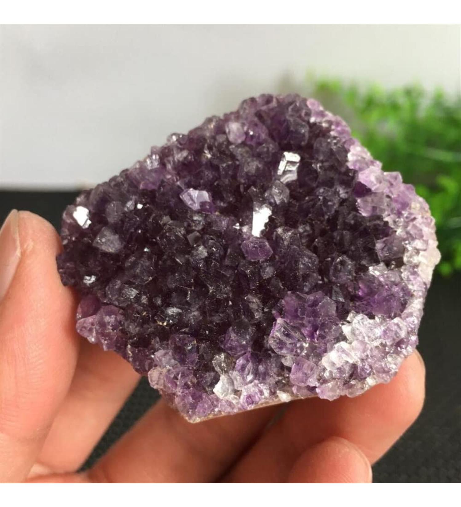 Specimen 75g-85g Natural Amethyst Cluster Quartz Crystal geode Specimen JITZEGMD - Buy Online on GoSupps.com
