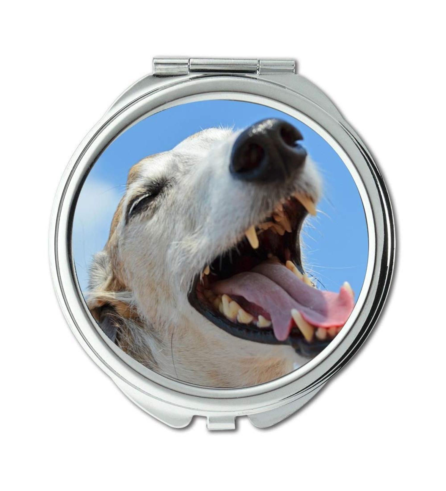 YENDOSTEEN Mirror makeup mirror Dog Animal Greyhound Spanish Greyhound Snout Tooth Pocket Mirror portable mirror - Buy Online on GoSupps.com